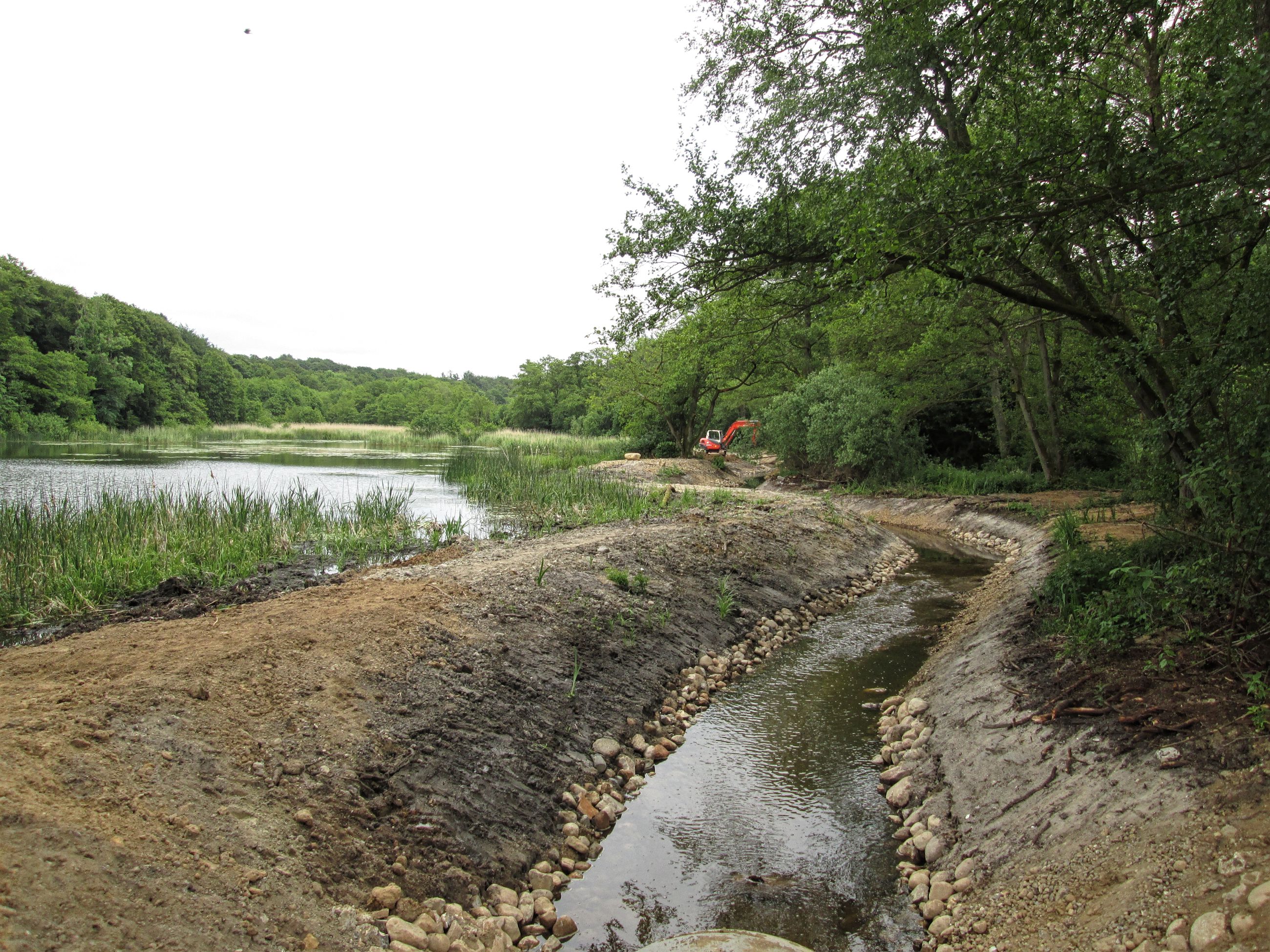 Bæk og sø ved Fussingø