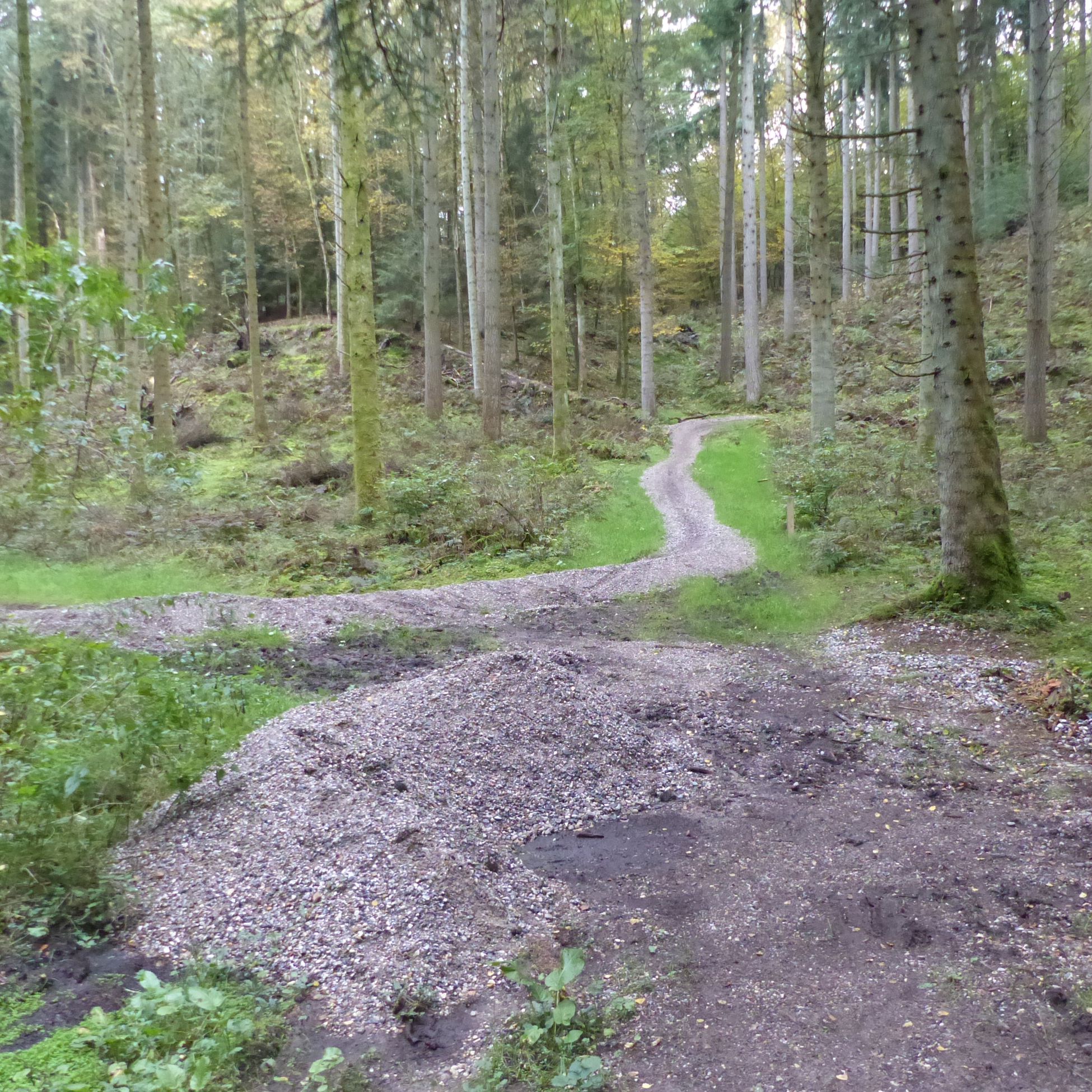 Stier til mountainbikes i Fussingø Skov