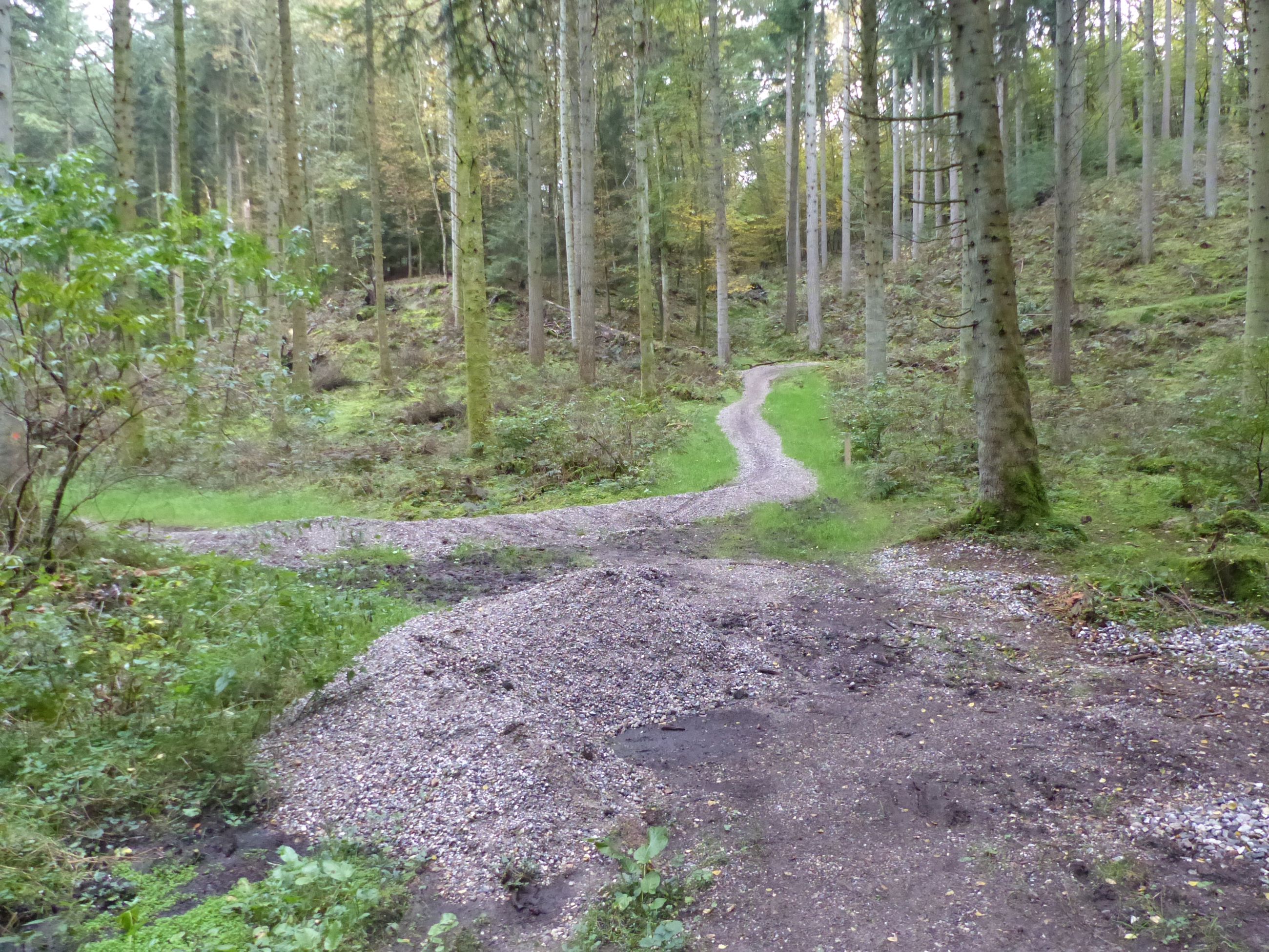 Stier til mountainbikes i Fussingø Skov