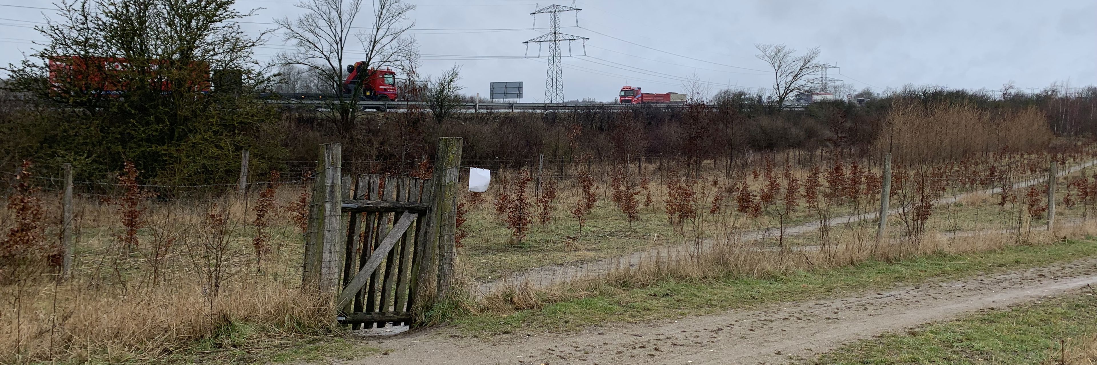 Oust Mølle Folkeskov