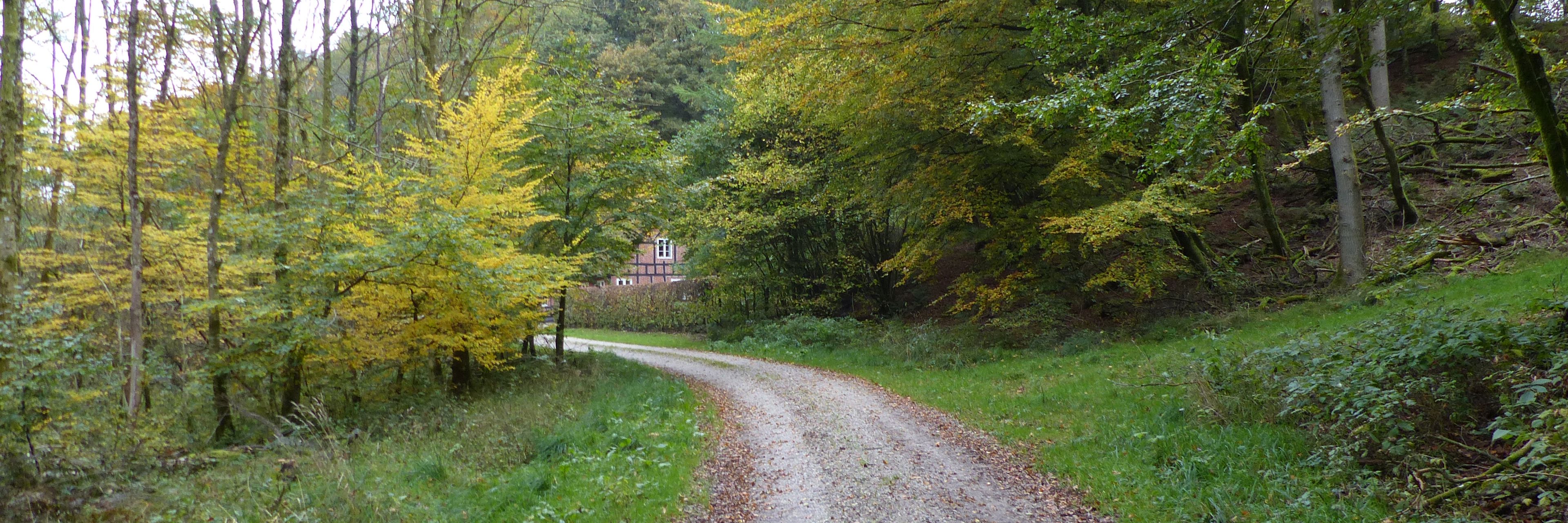 Skovløberhuset lige om hjørnet i Fussingø Skov