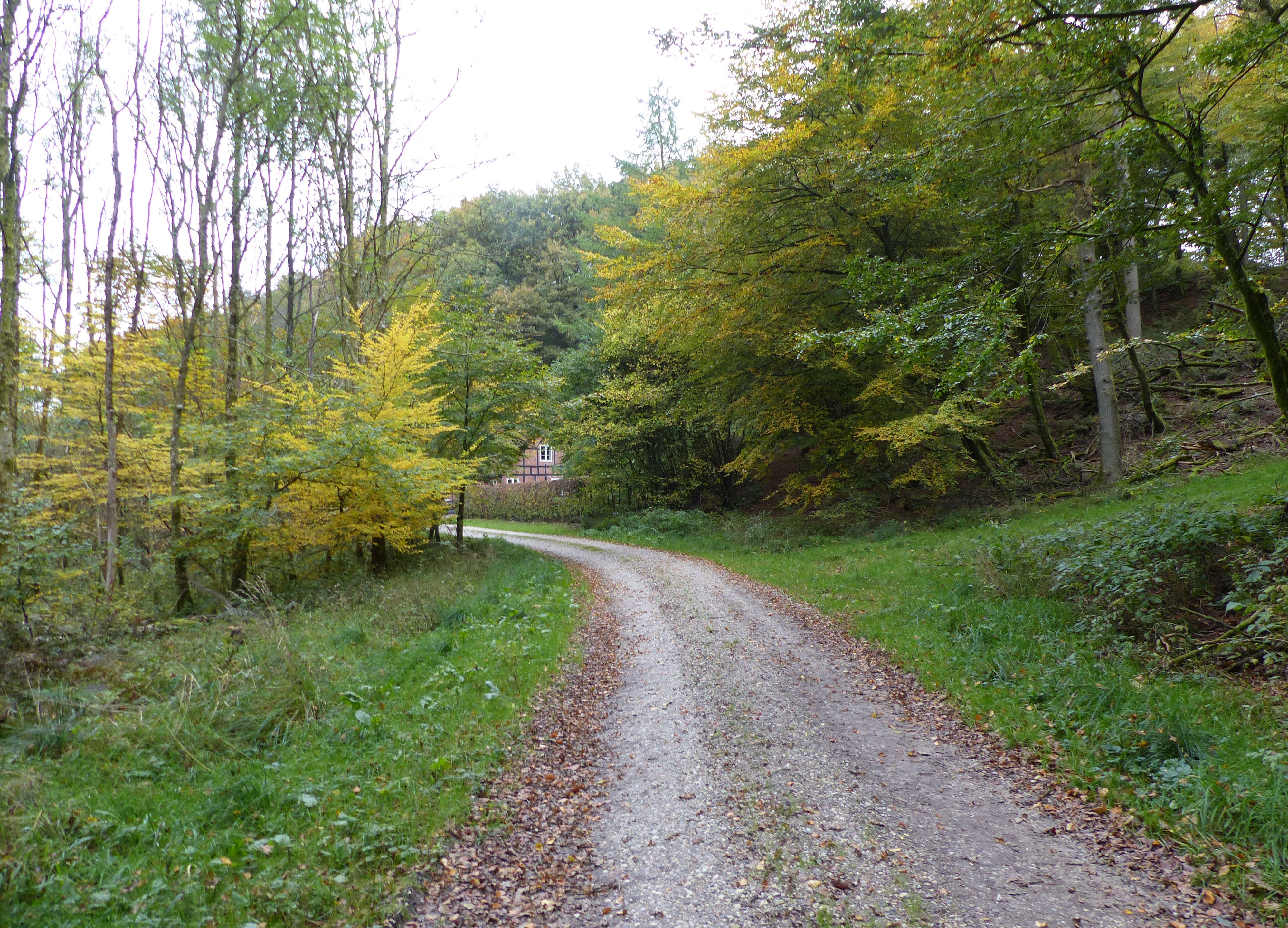 Skovløberhuset lige om hjørnet i Fussingø Skov