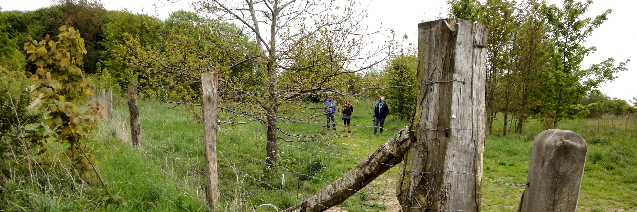 Nordre Fælled Hundeskov