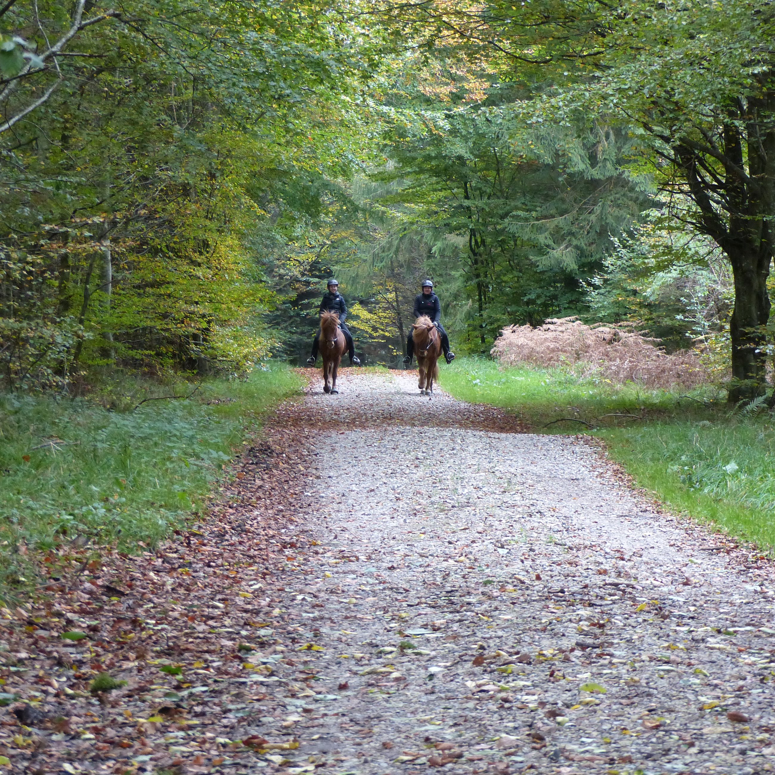 To personer til hest i Fussingø Skov