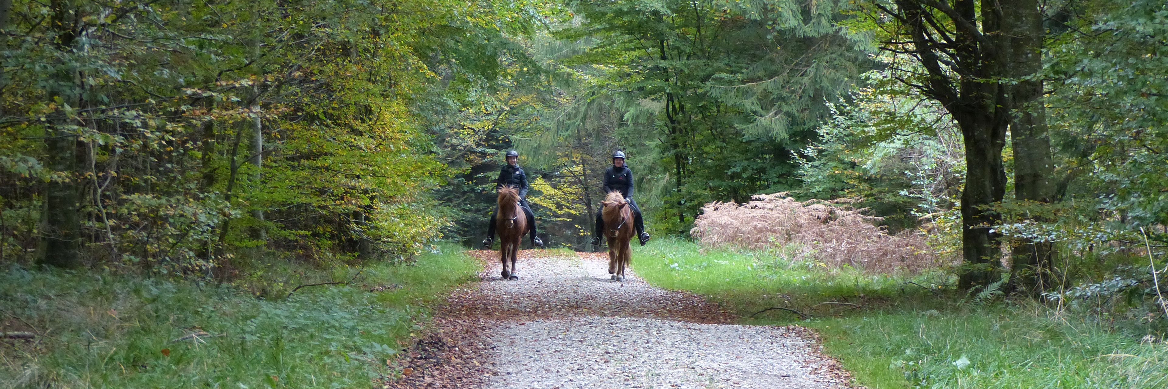 To personer til hest i Fussingø Skov