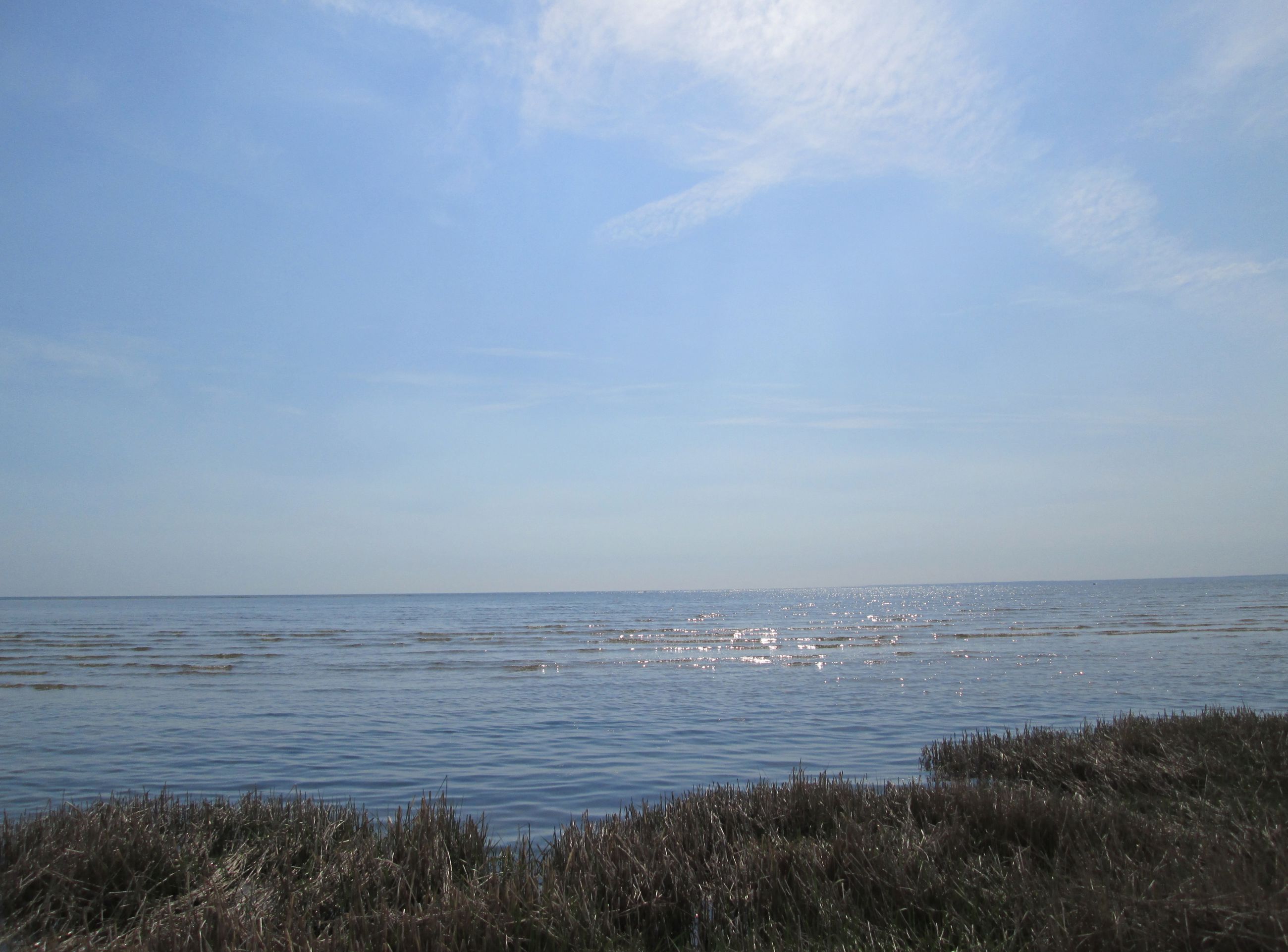 Strandengen og Kattegat