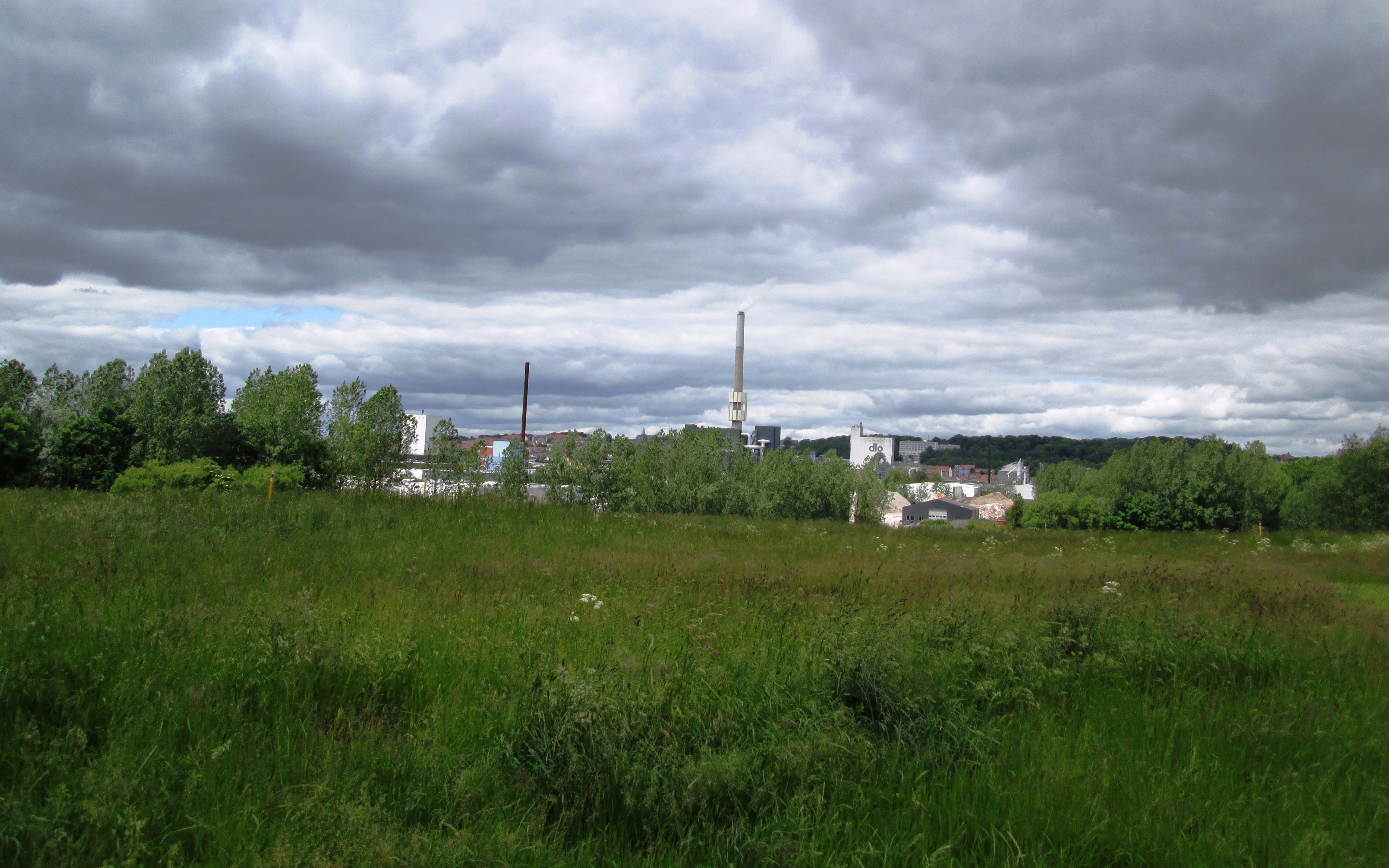 Udsigt fra Skovholmen