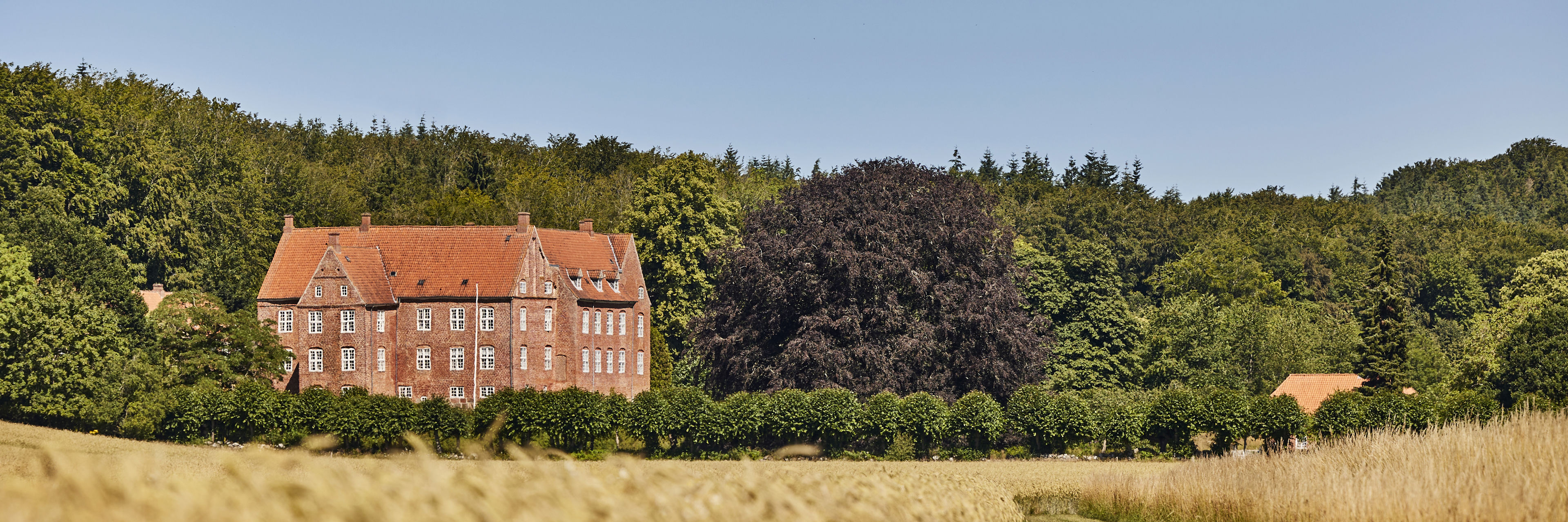 Dødislandskabet ved Støvring