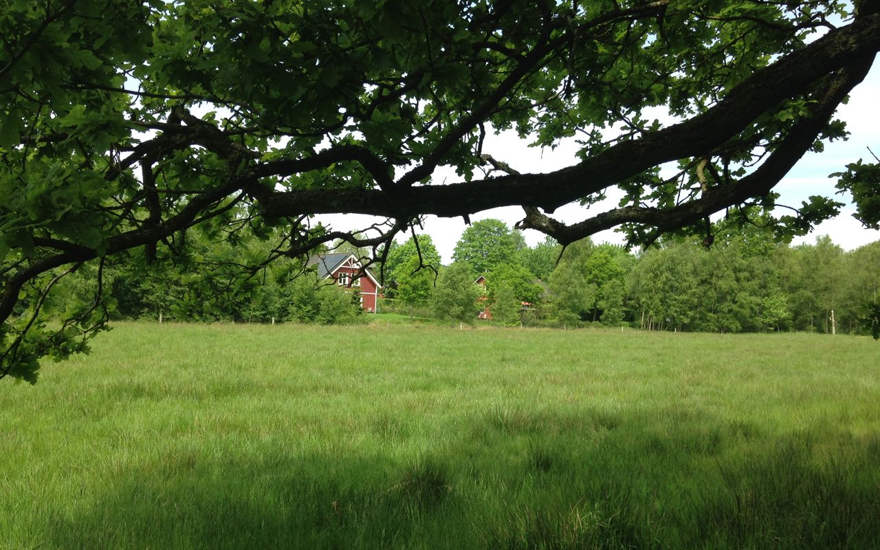 Bynær natur ved Langå