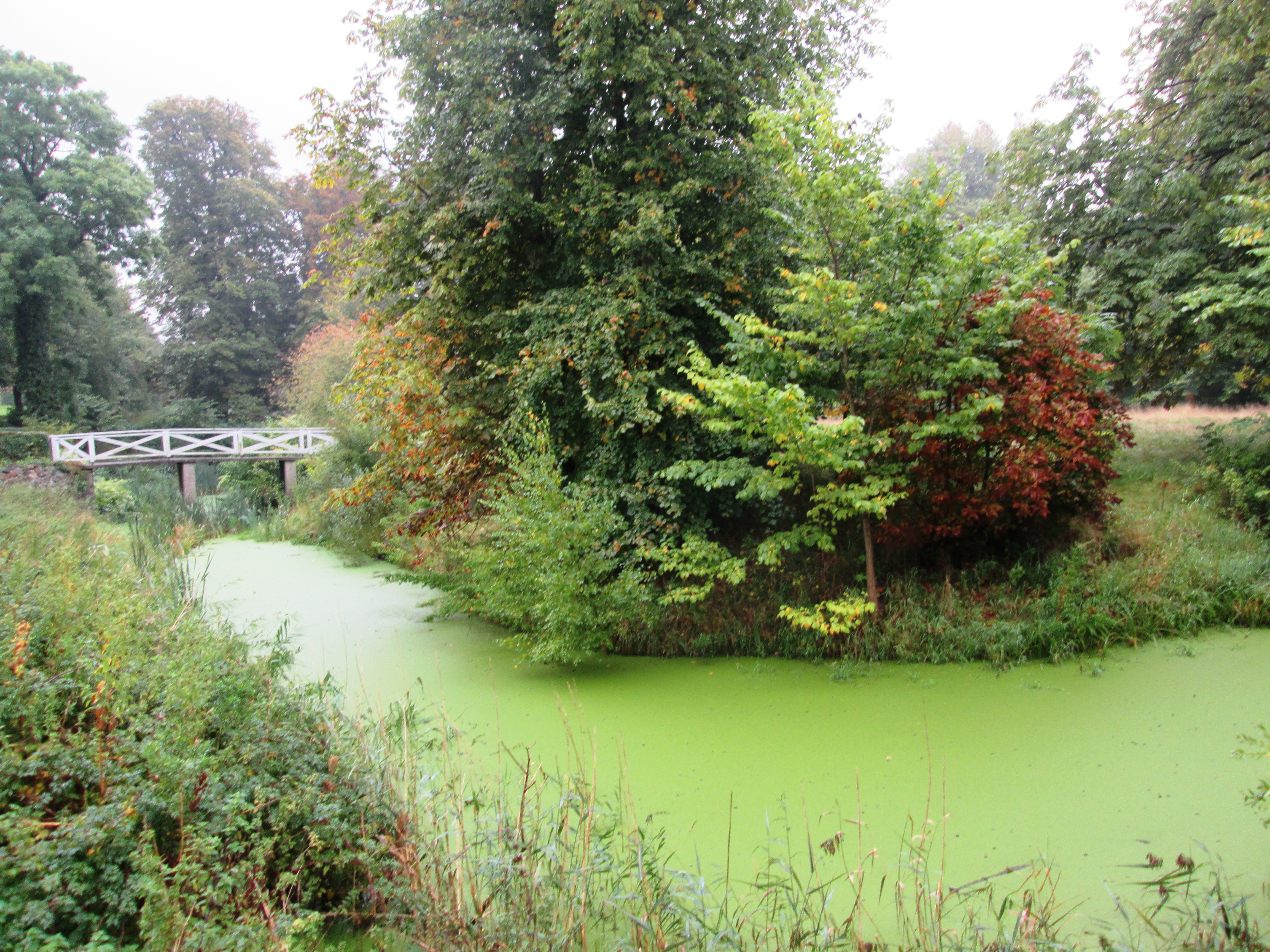 Voldgraven ved Brusgård