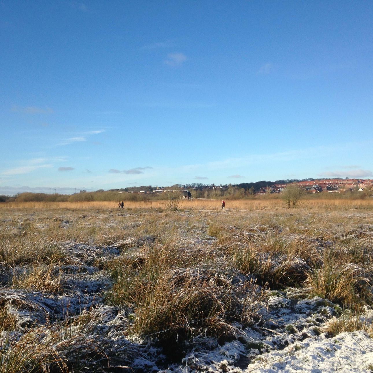 Vorup Enge om vinteren