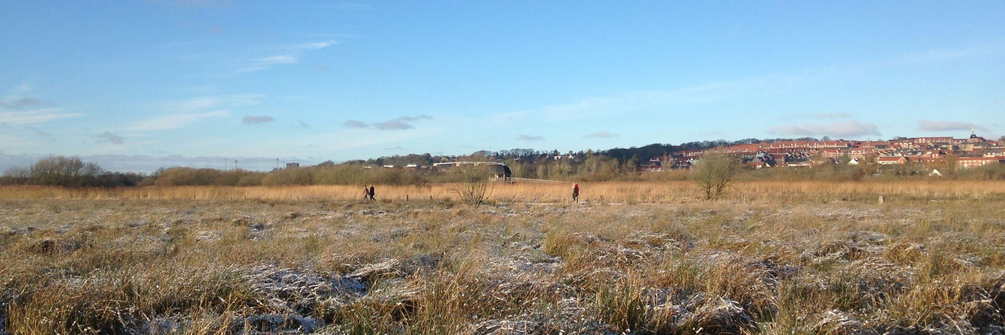 Vorup Enge om vinteren