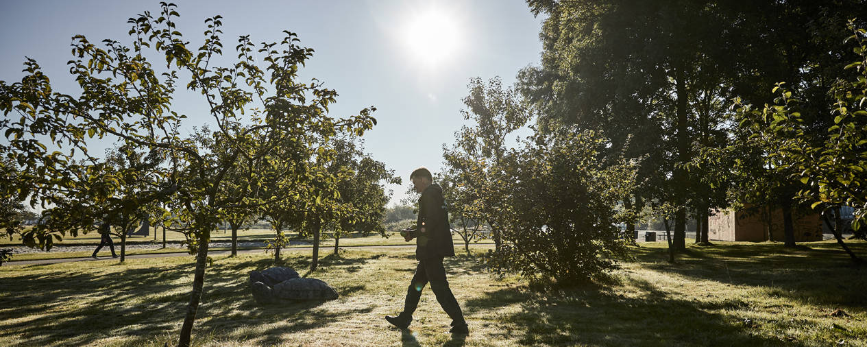 Ole blandt æbletræer