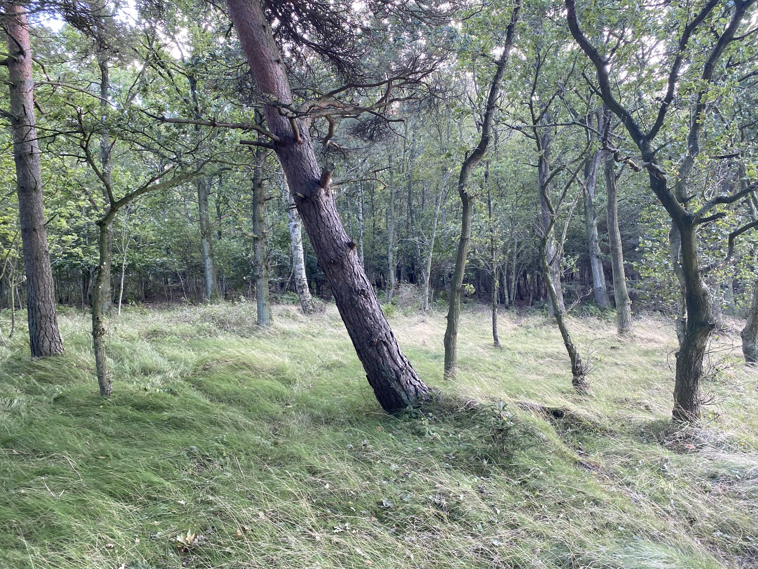 Visualisering Fra Under Bakken Af Det Ansoegte Solcelleanlaeg 2