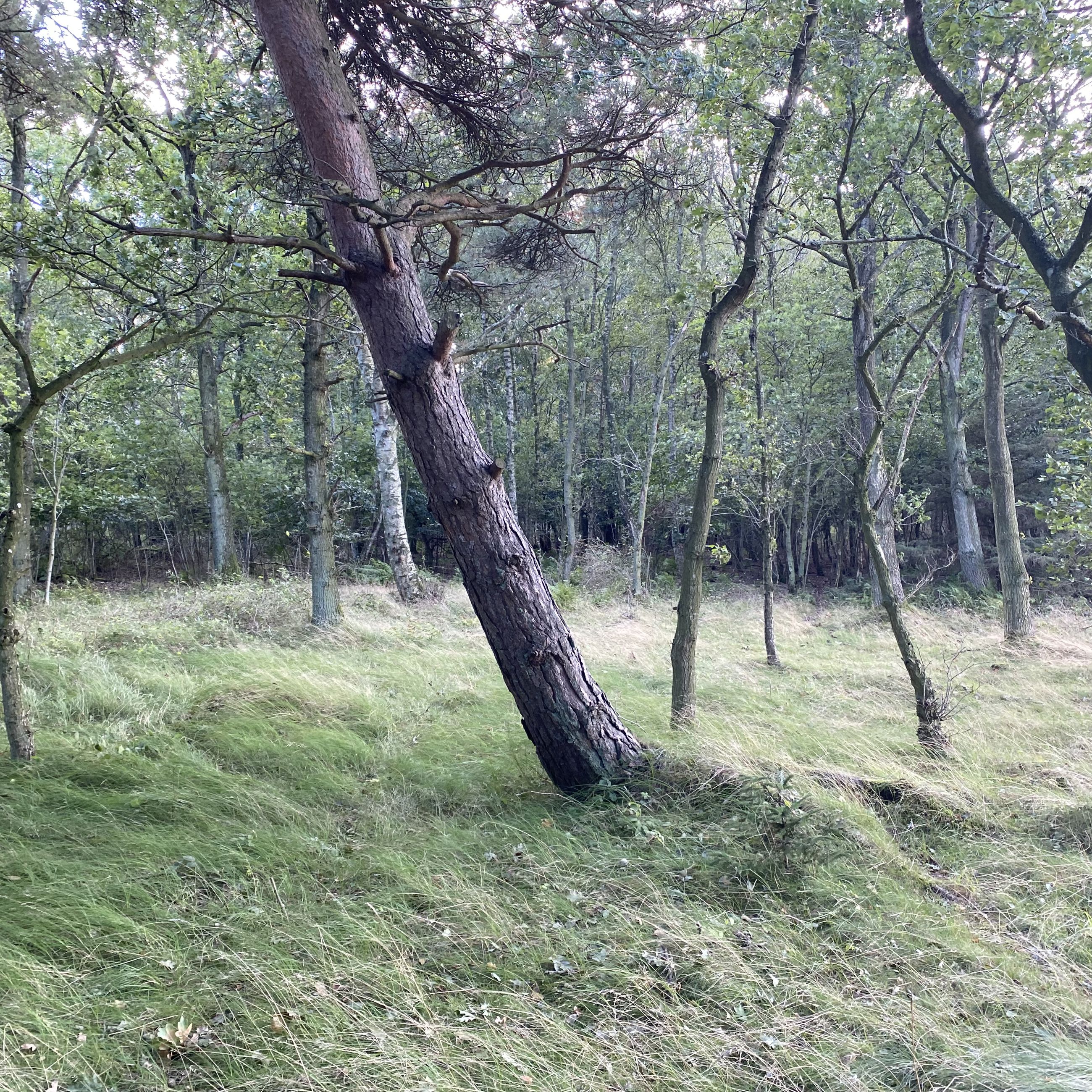 Visualisering Fra Under Bakken Af Det Ansoegte Solcelleanlaeg 2