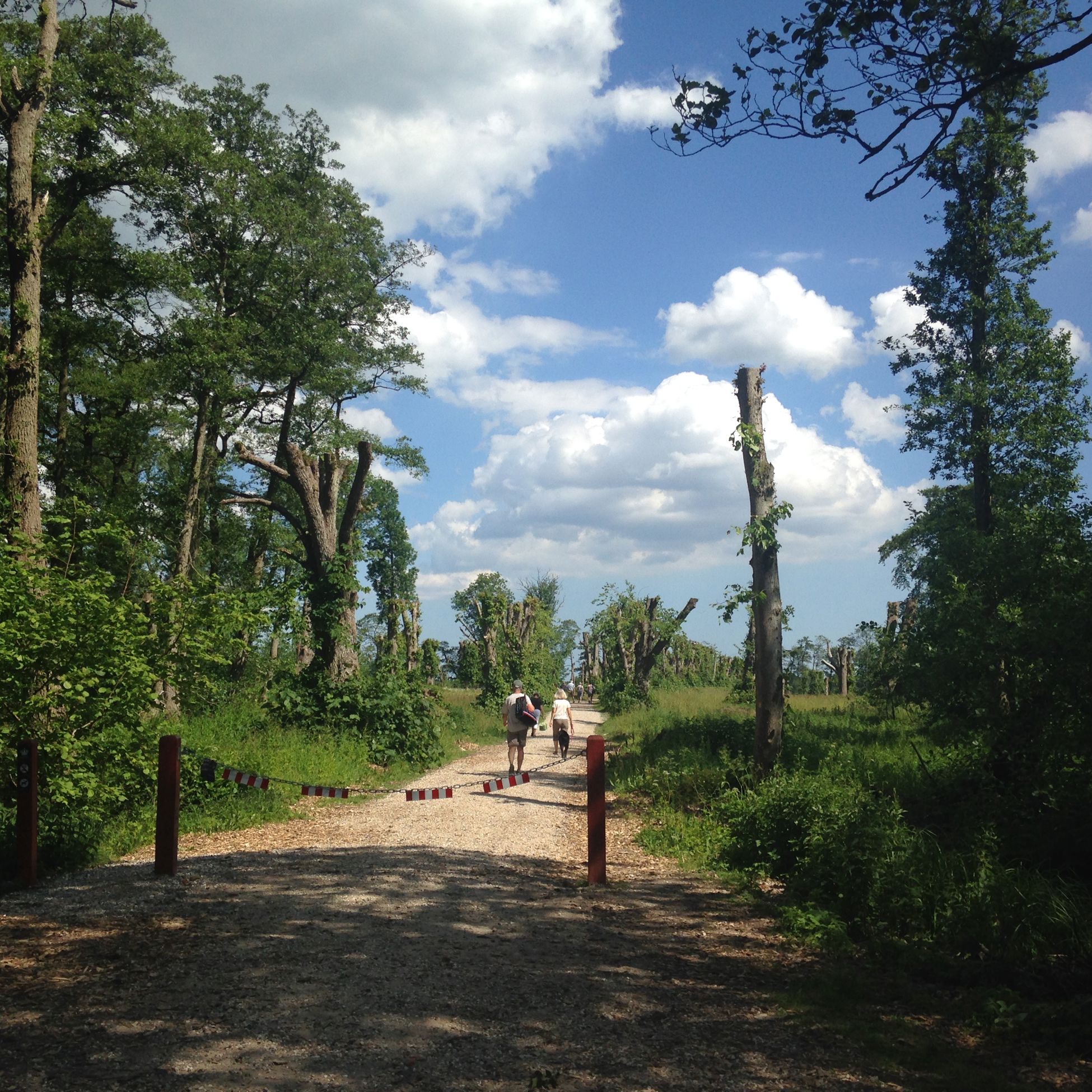 Gammelhave ved Fussingø