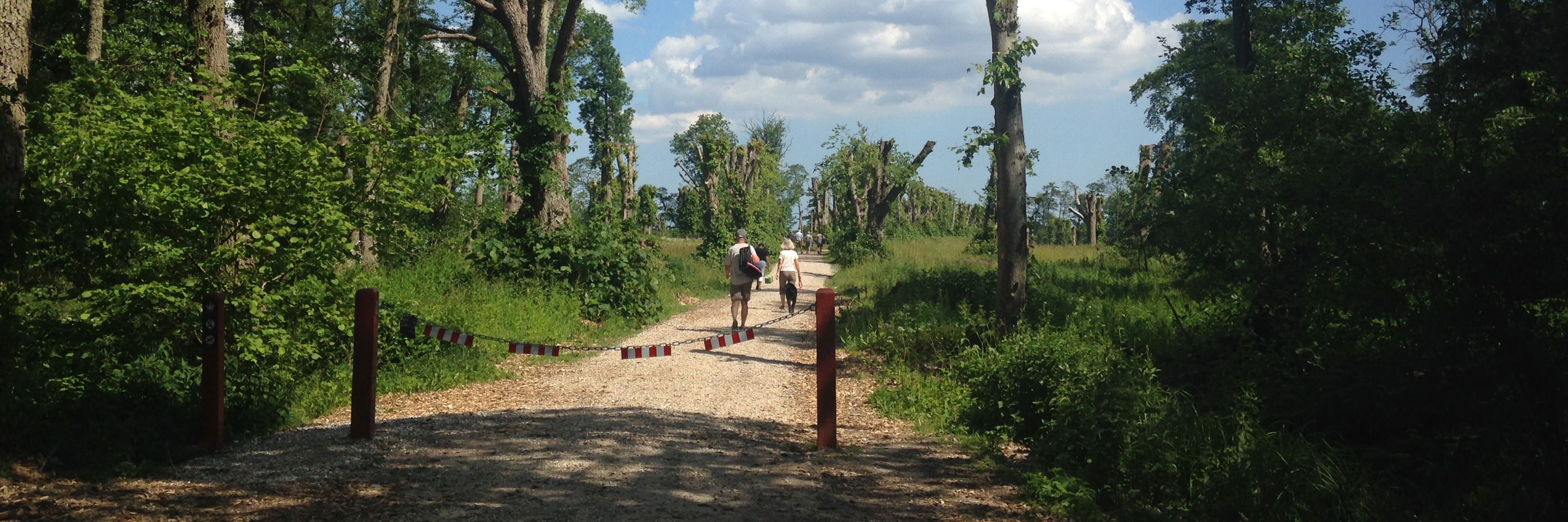 Gammelhave ved Fussingø