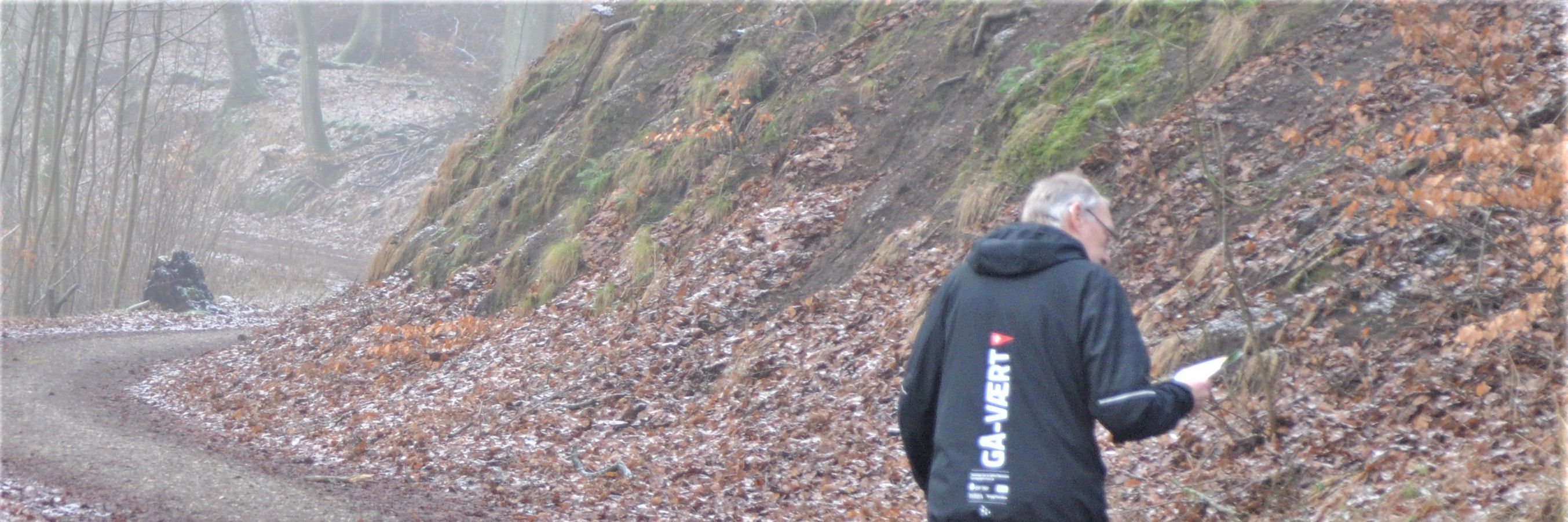 Orienteringsgang i Fussingø Skov