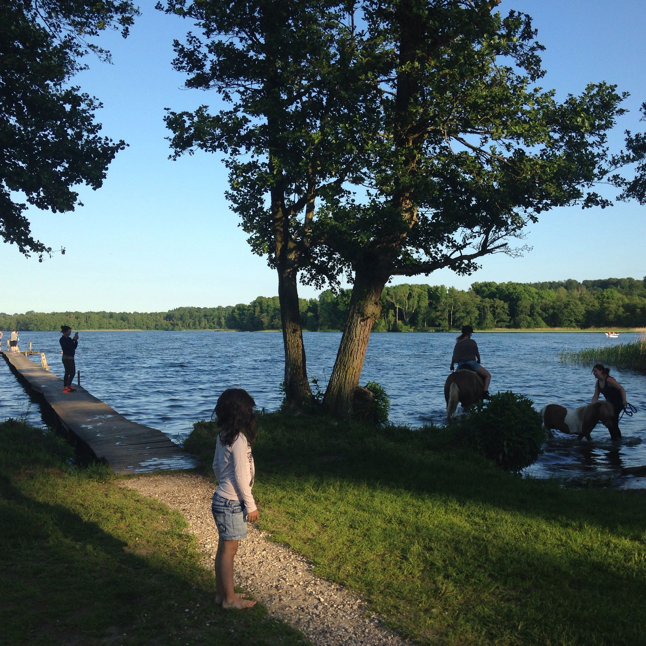 Badebroen ved Fussing Sø