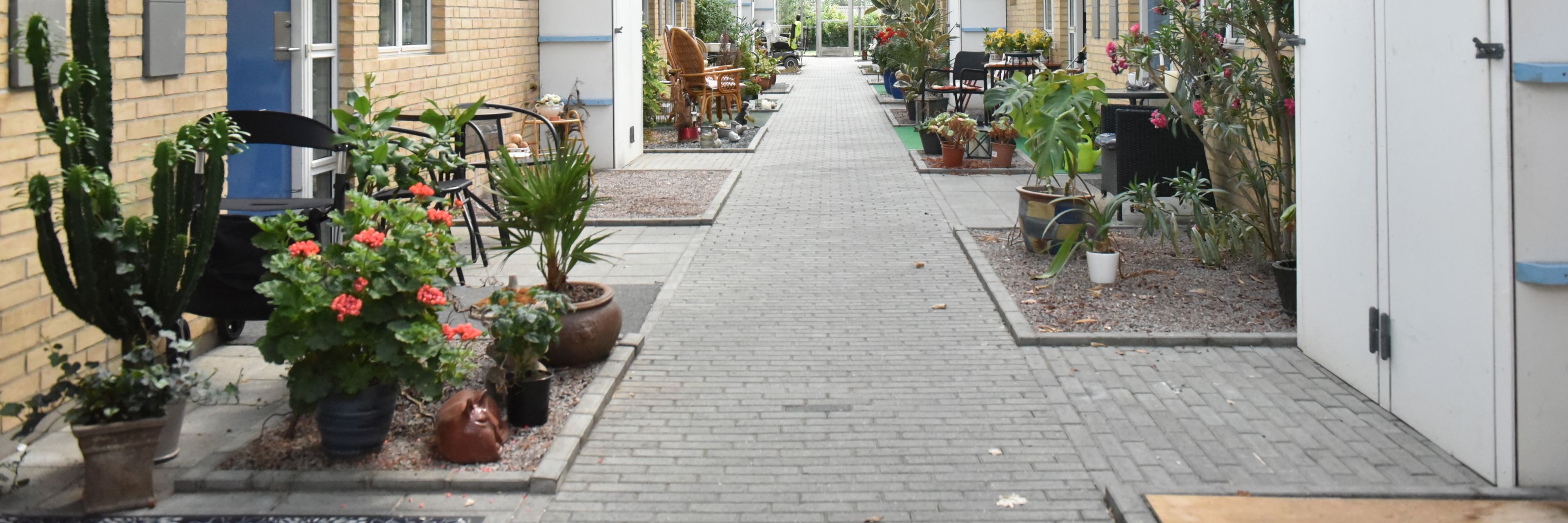 Gangareal på Borupvænget