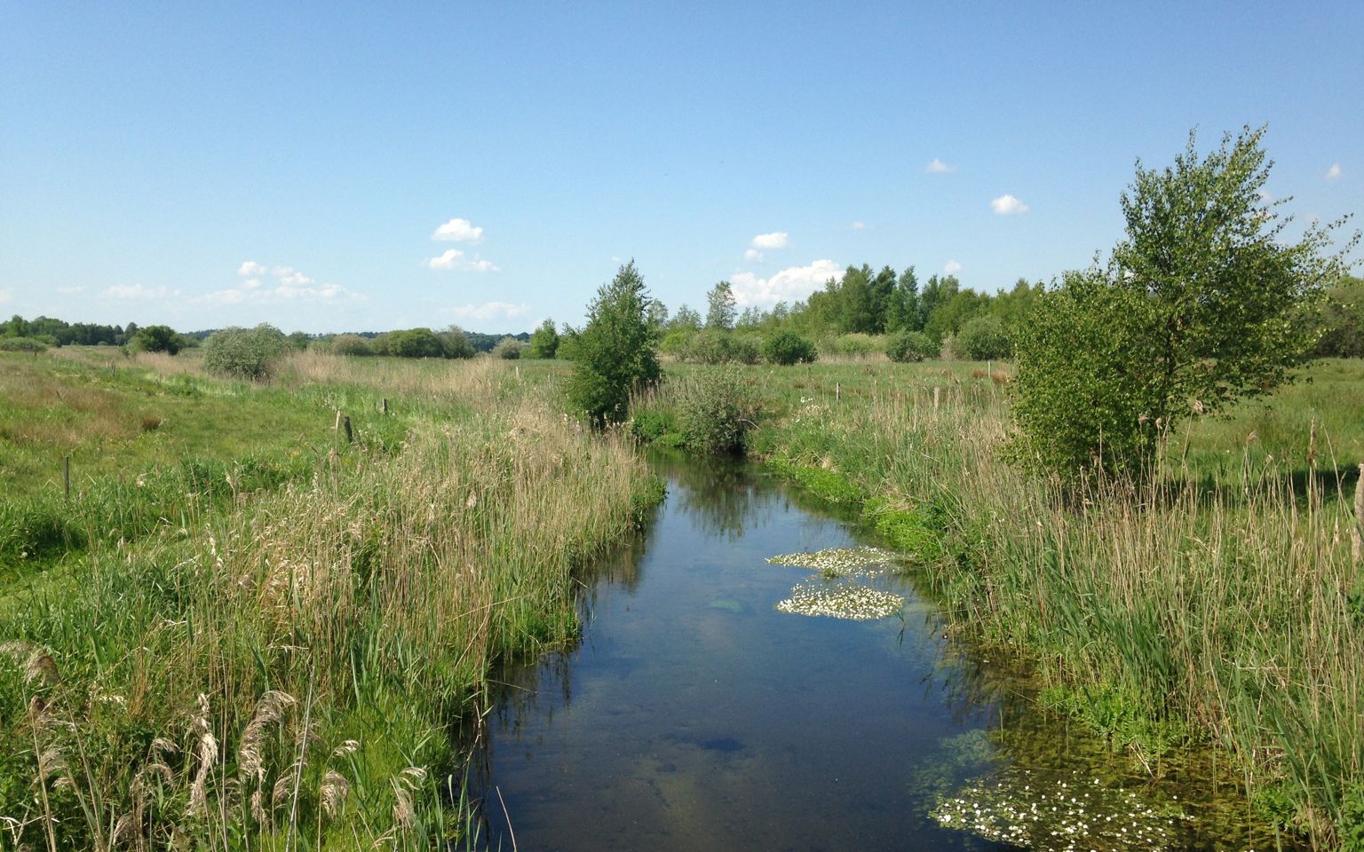 Natur ved Bredkildebroen ved Havndal