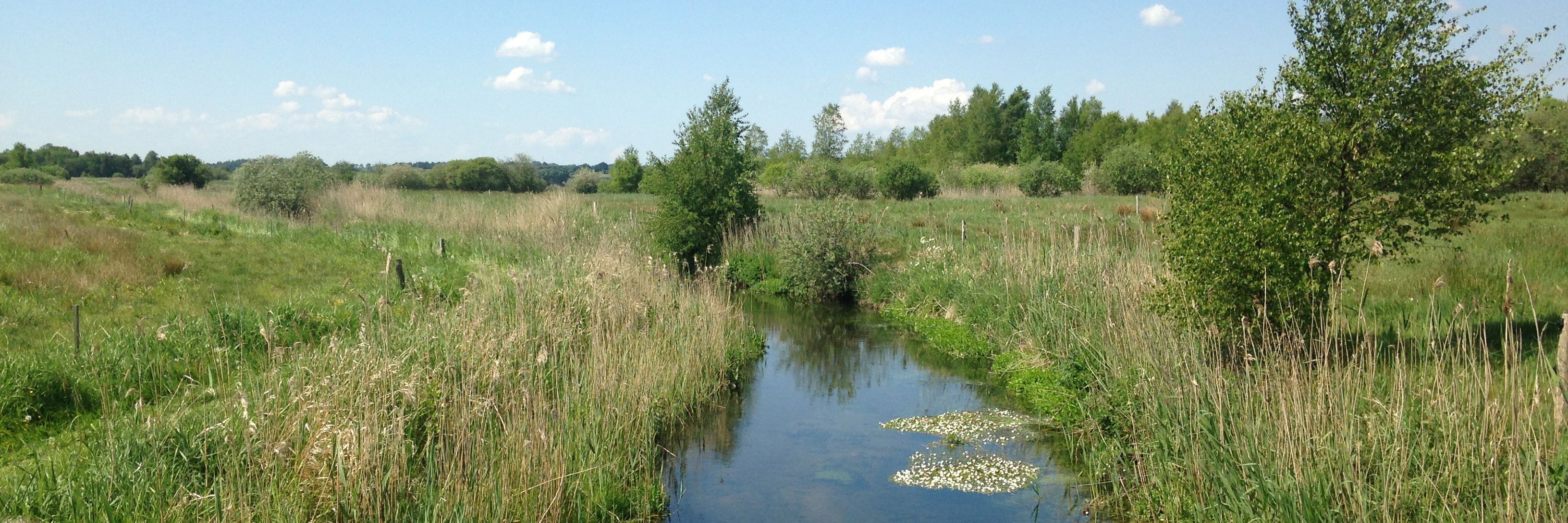 Natur ved Bredkildebroen ved Havndal