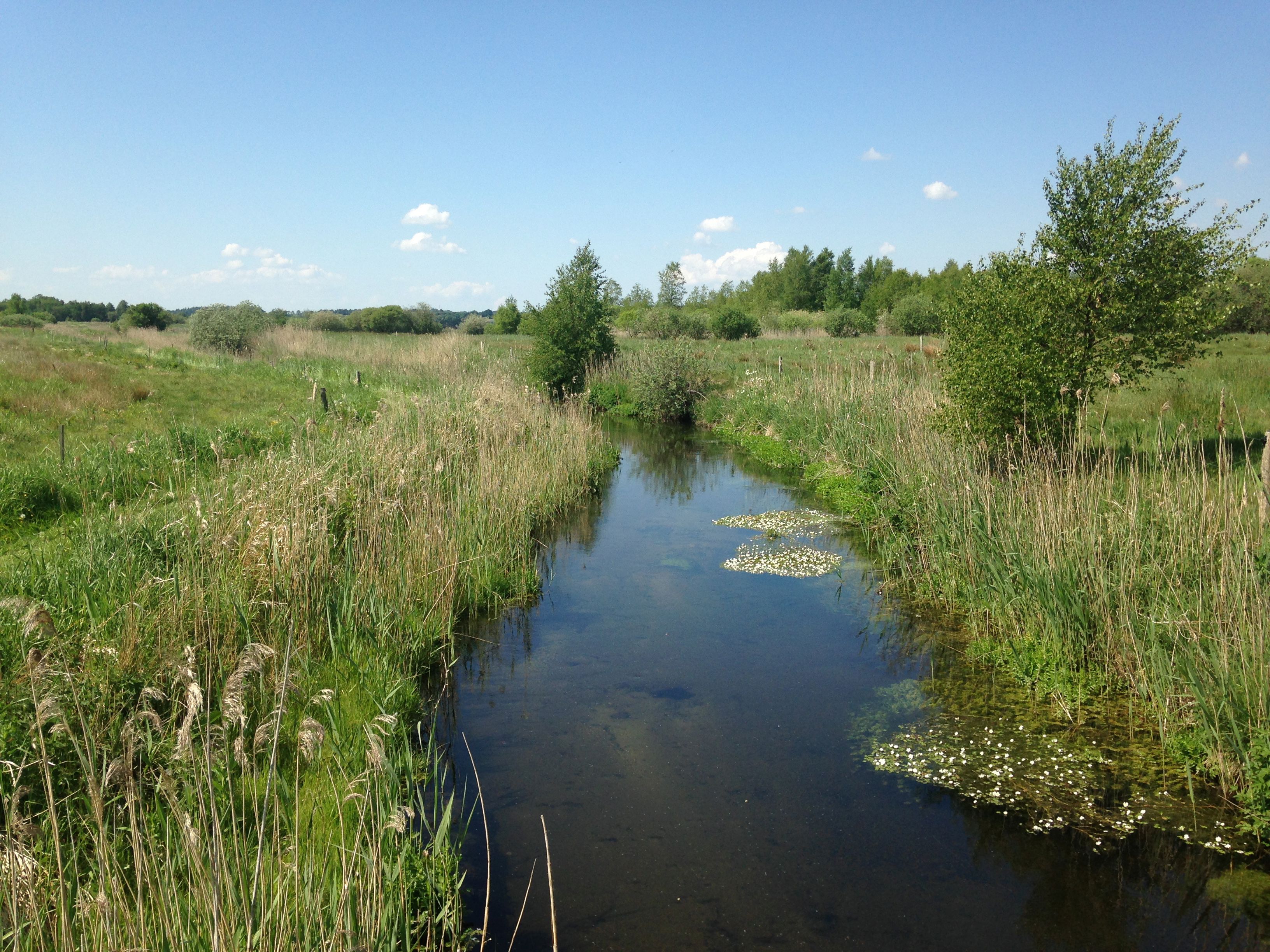 Natur ved Bredkildebroen ved Havndal