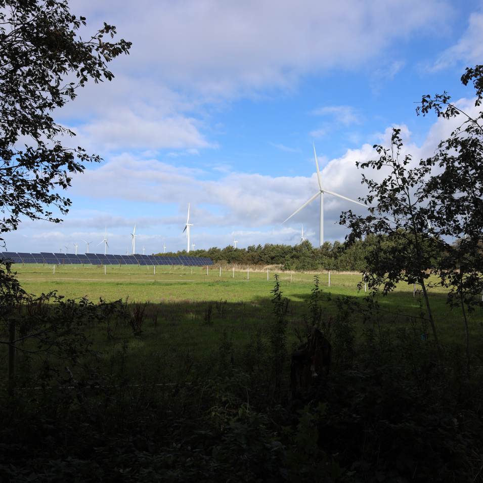 Visualisering Fra Under Bakken Af Det Ansoegte Solcelleanlaeg