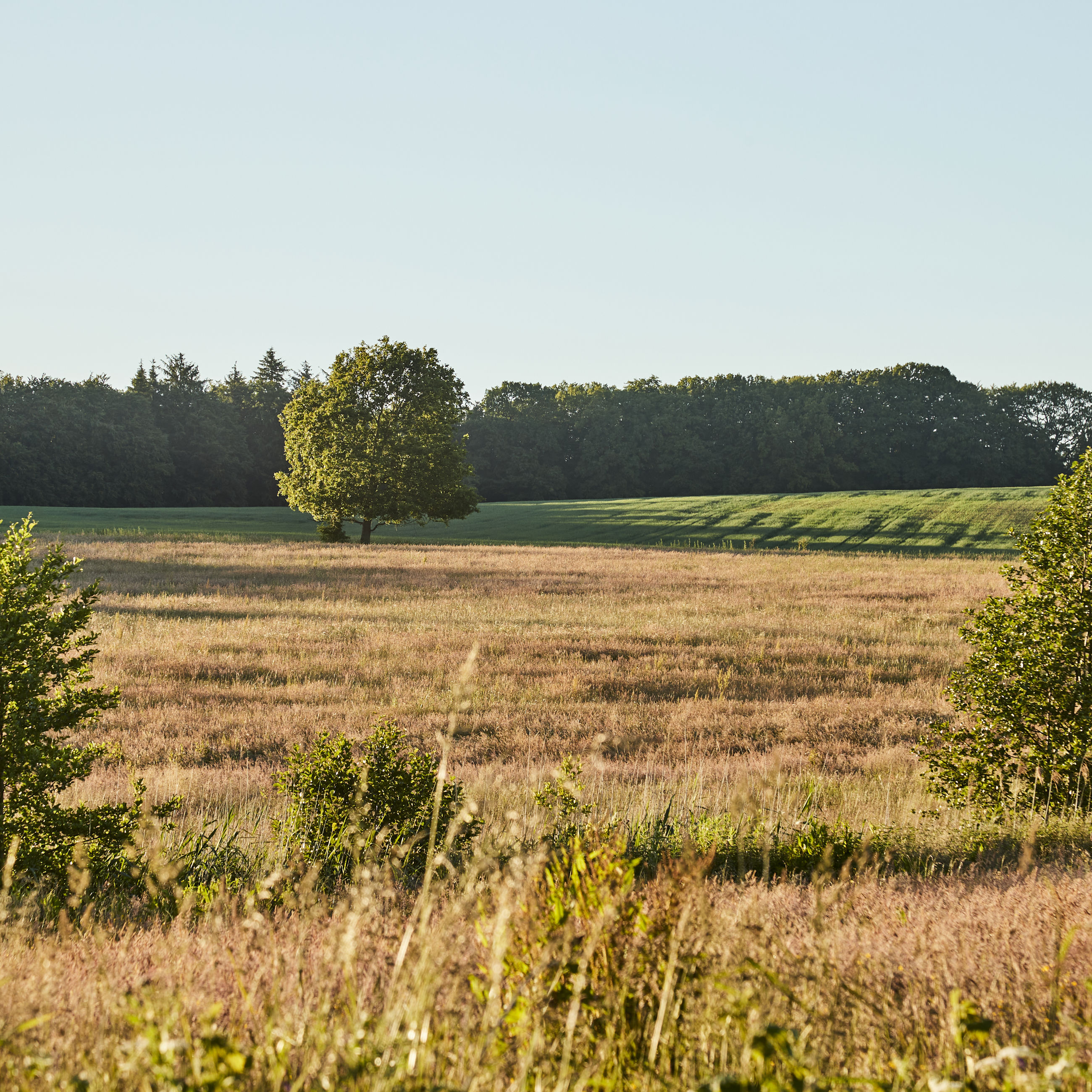 Marker ved Fussingø