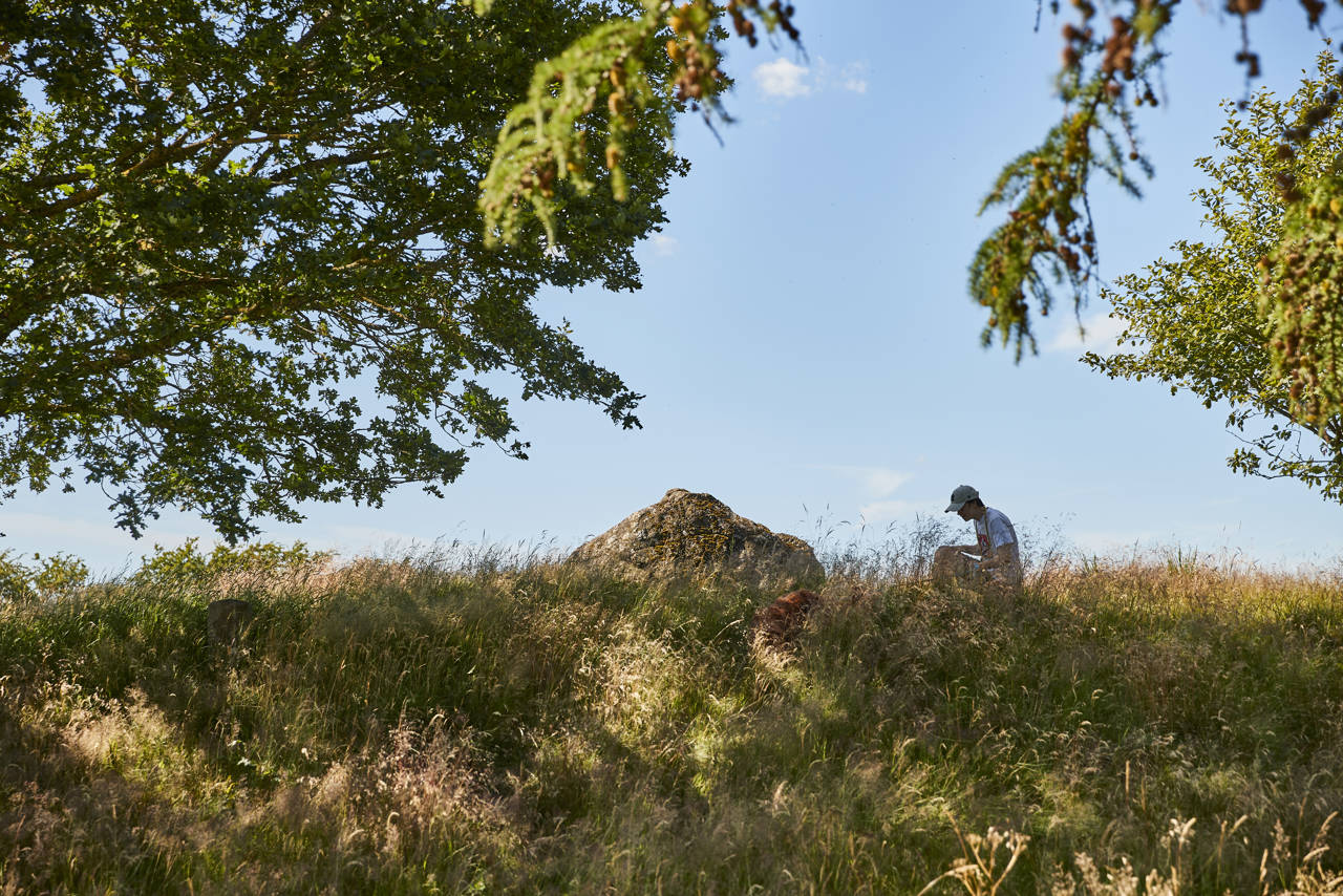 Haversdås Jættestue