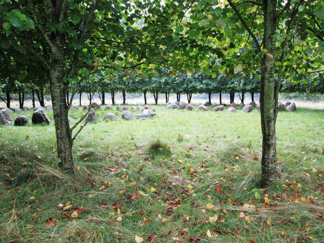 Rundkreds på Krakamarken