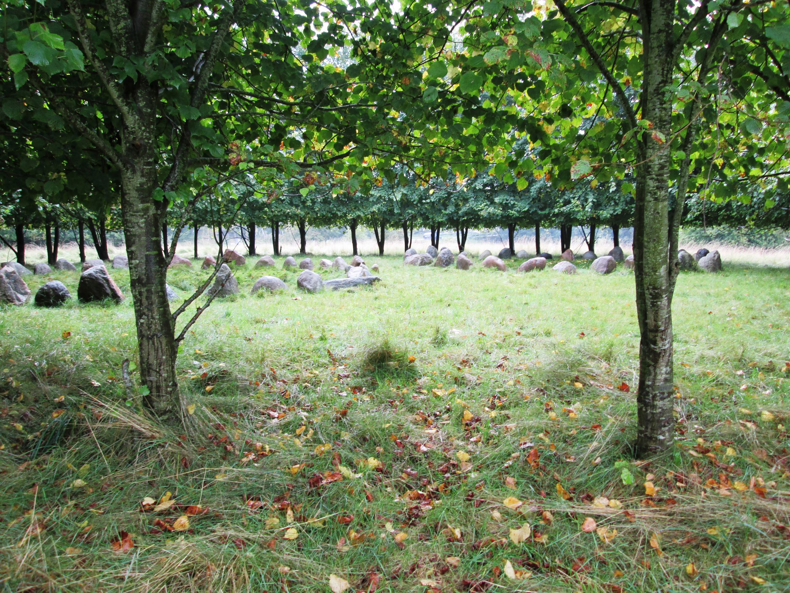 Rundkreds på Krakamarken