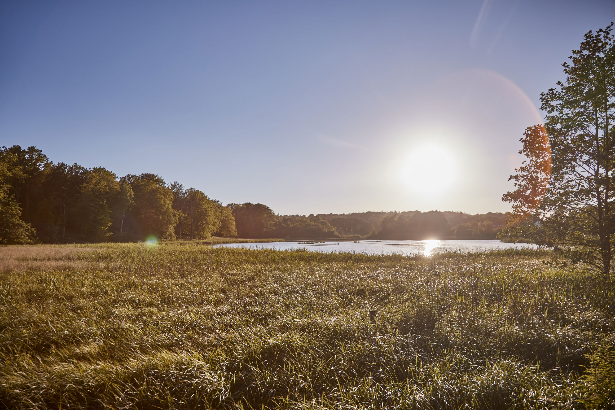 Mark og sø ved Fussingø