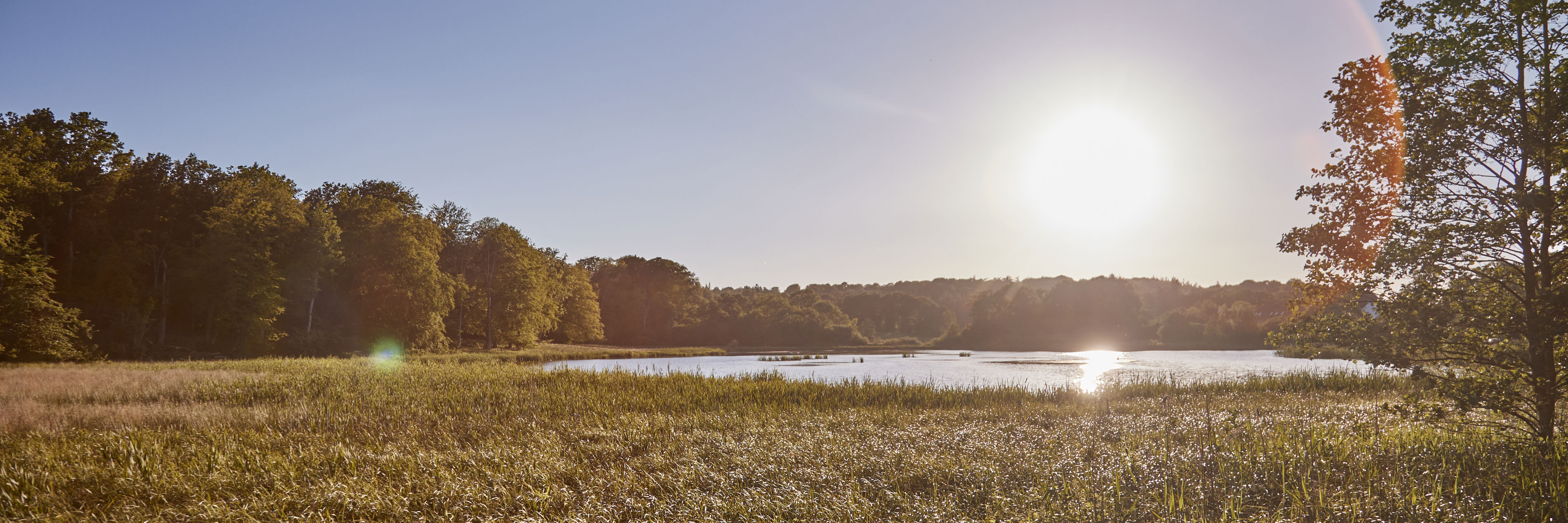 Mark og sø ved Fussingø