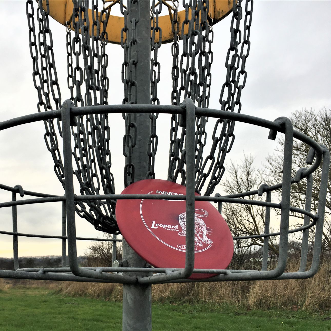 Discgolf