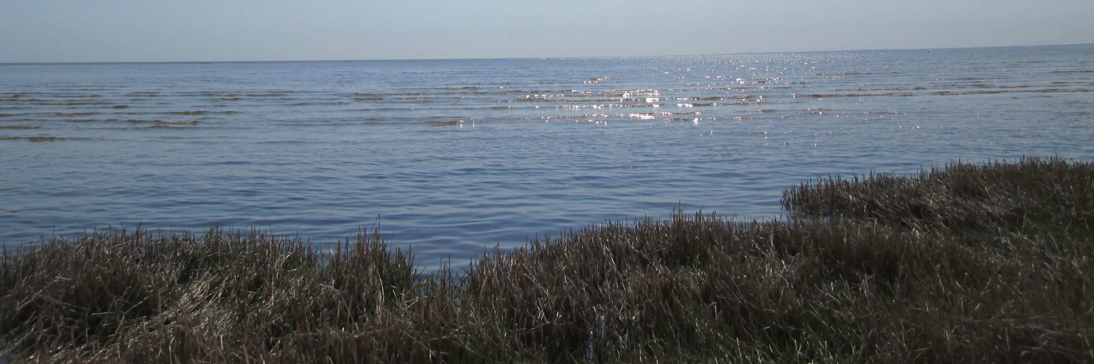 Strandengen og Kattegat