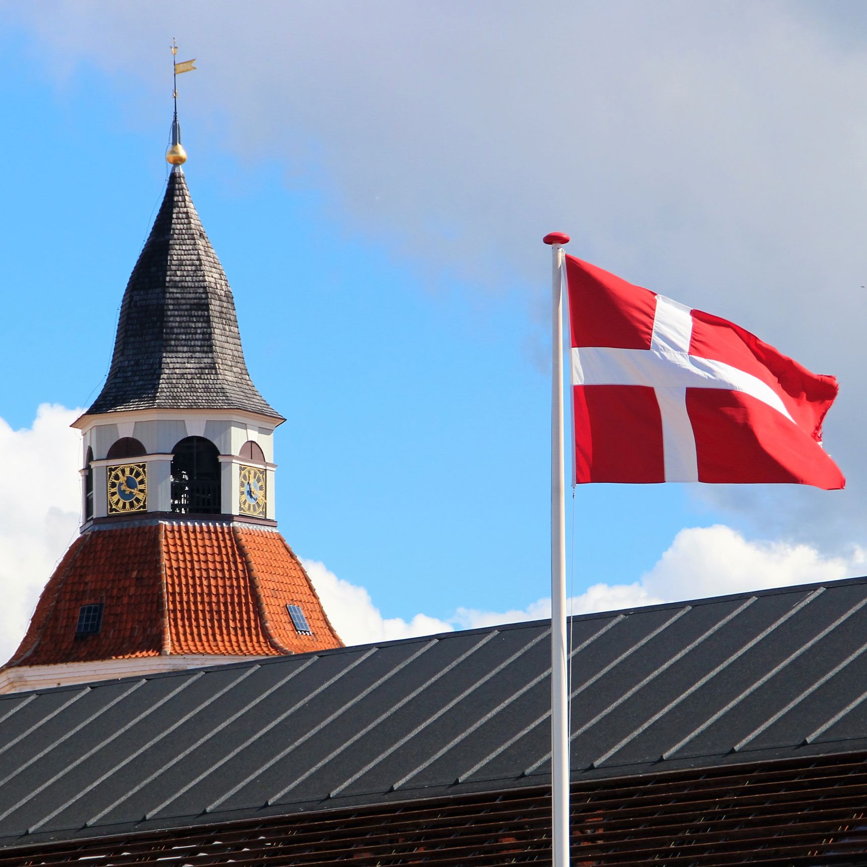 Dannebrog i bybillede