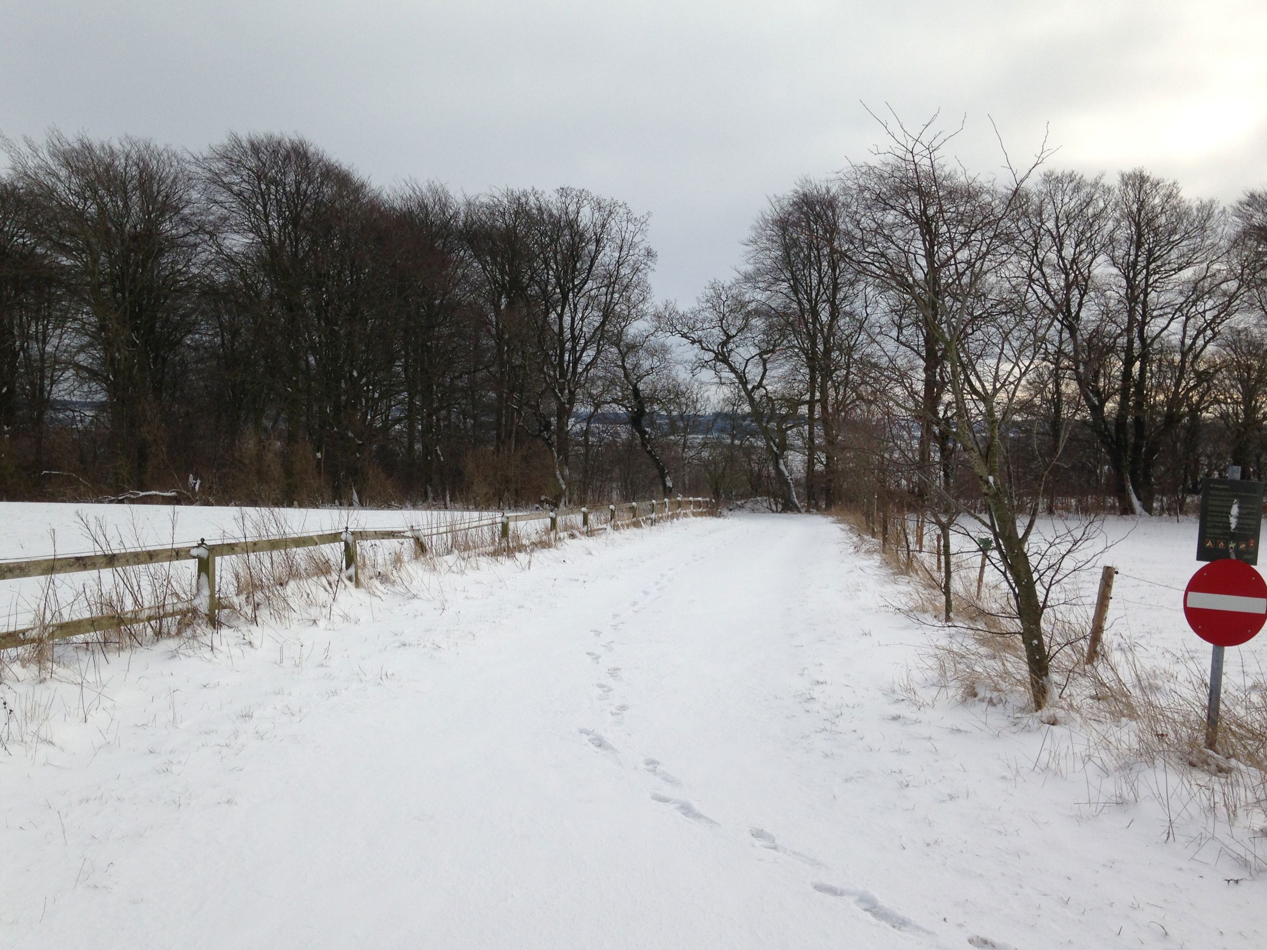 På travetur i lodsens fodspor