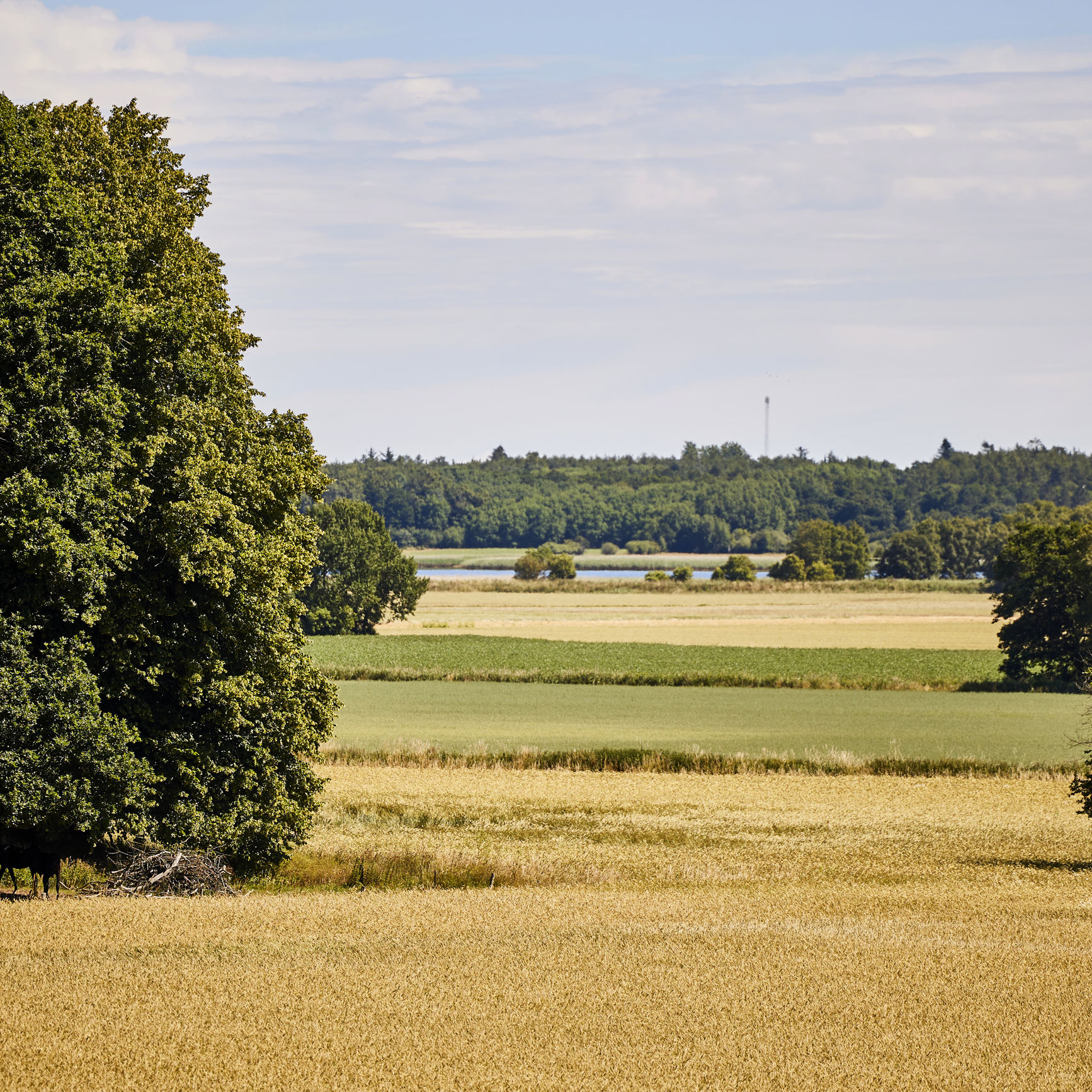 Dødislandskabet ved Støvring