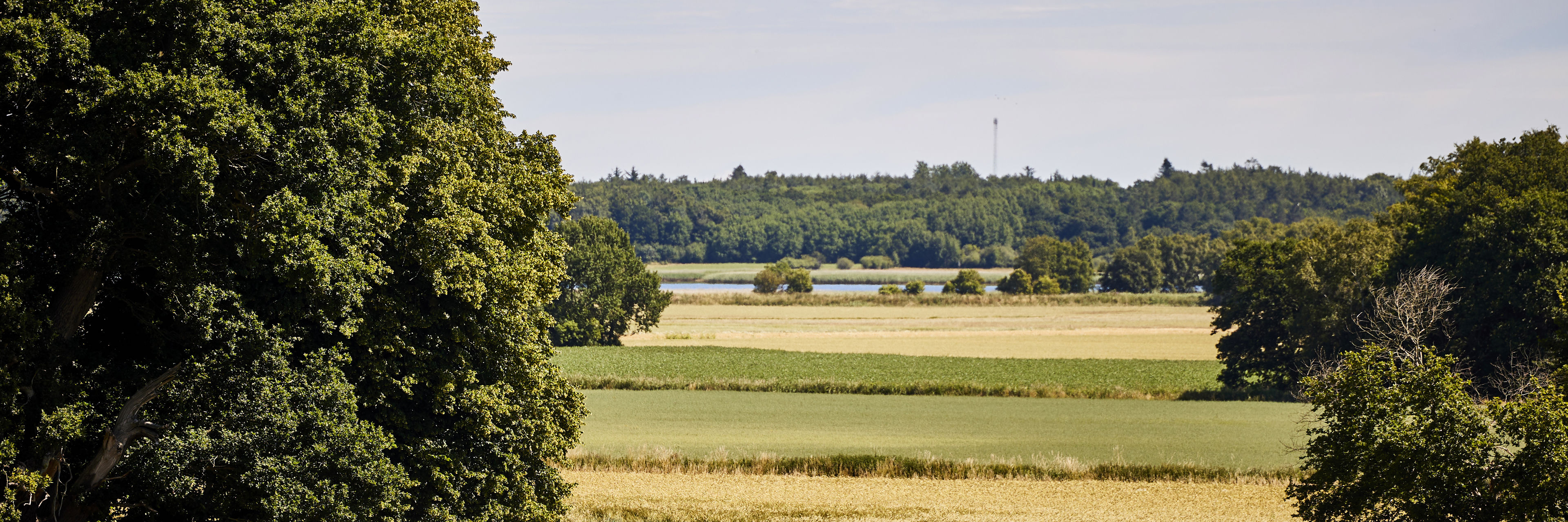 Dødislandskabet ved Støvring
