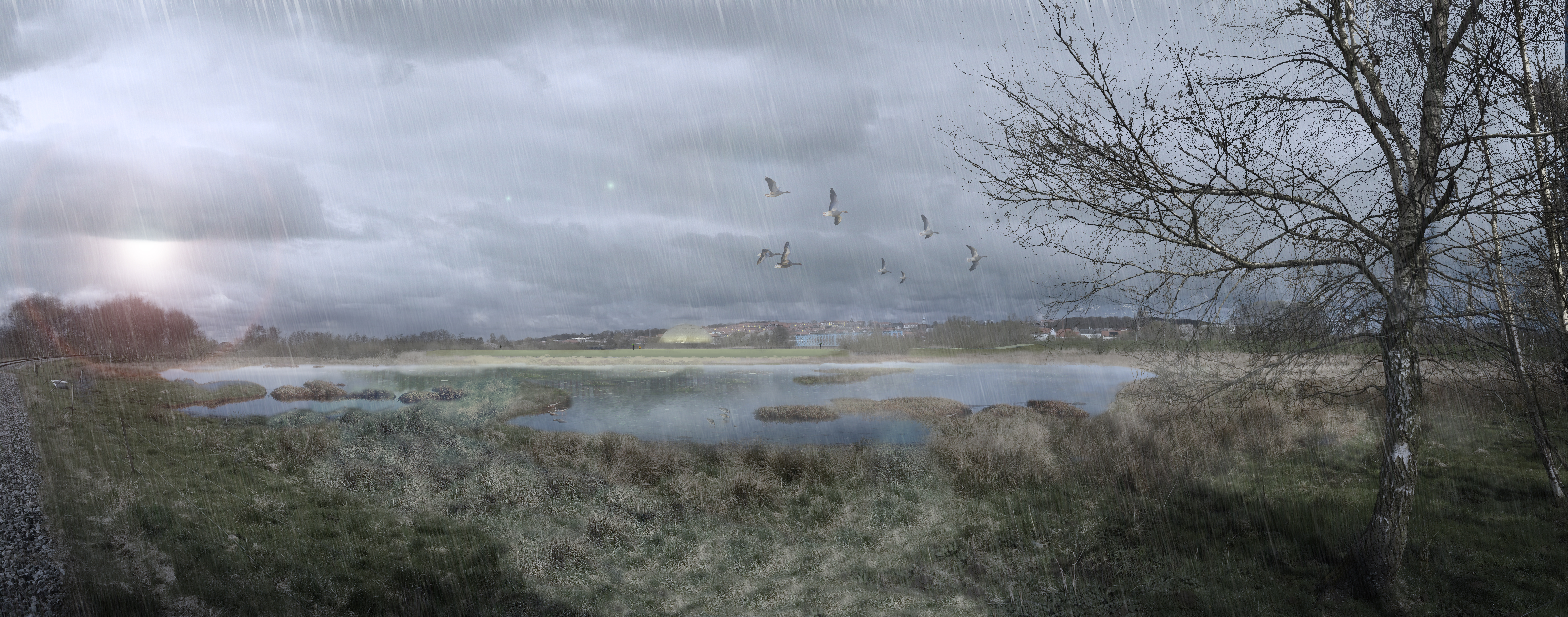 Illustration af storkeengen