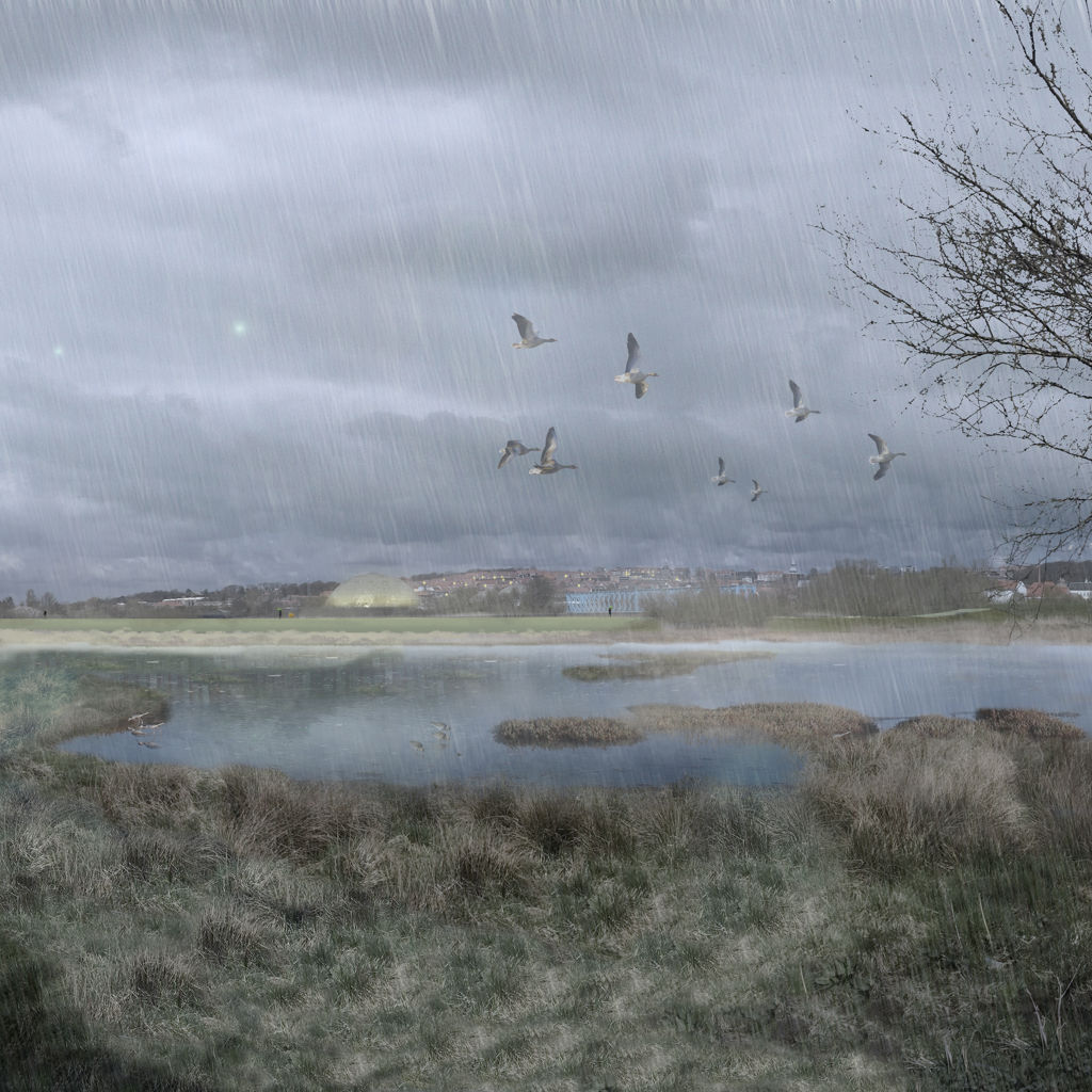 Illustration af storkeengen