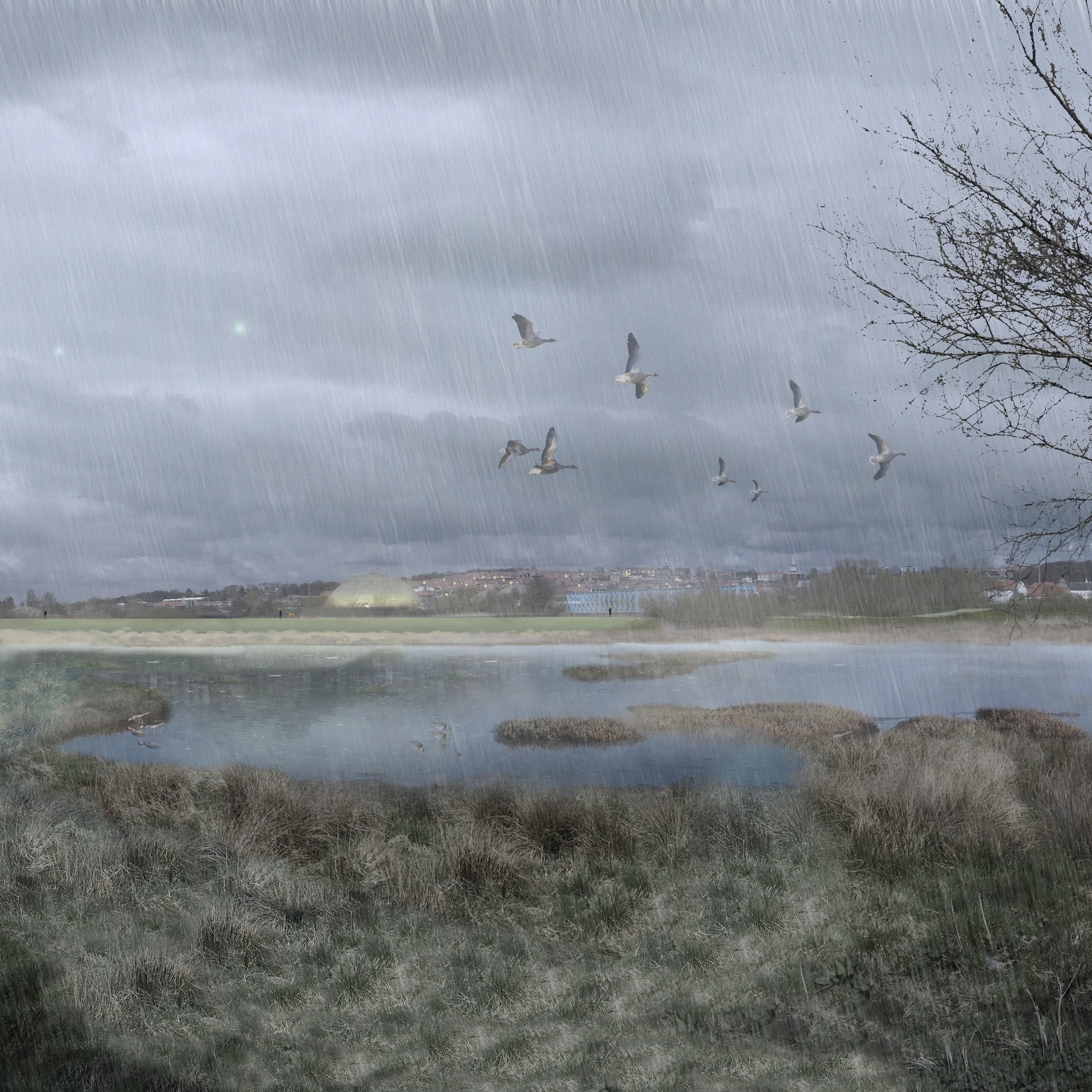 Illustration af storkeengen