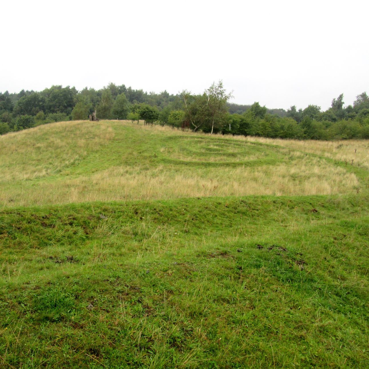 Cirkler på Krakamarken