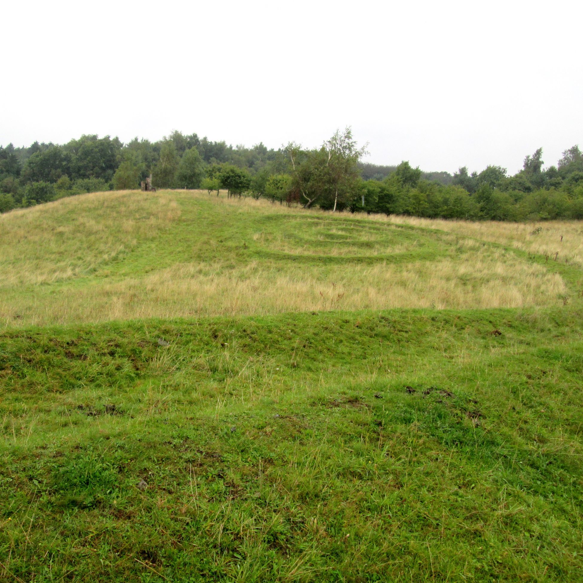 Cirkler på Krakamarken
