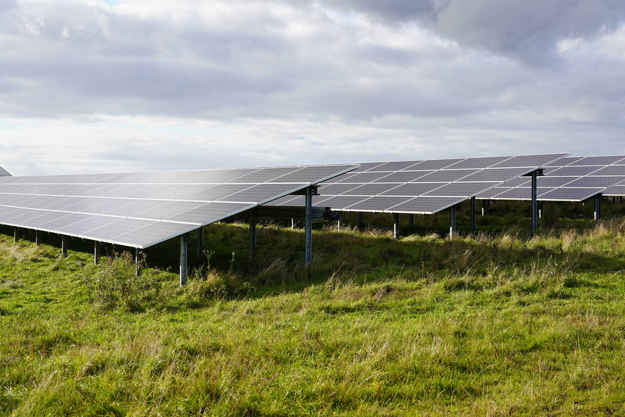 Eksempel på solcellepaneler på faste stativer