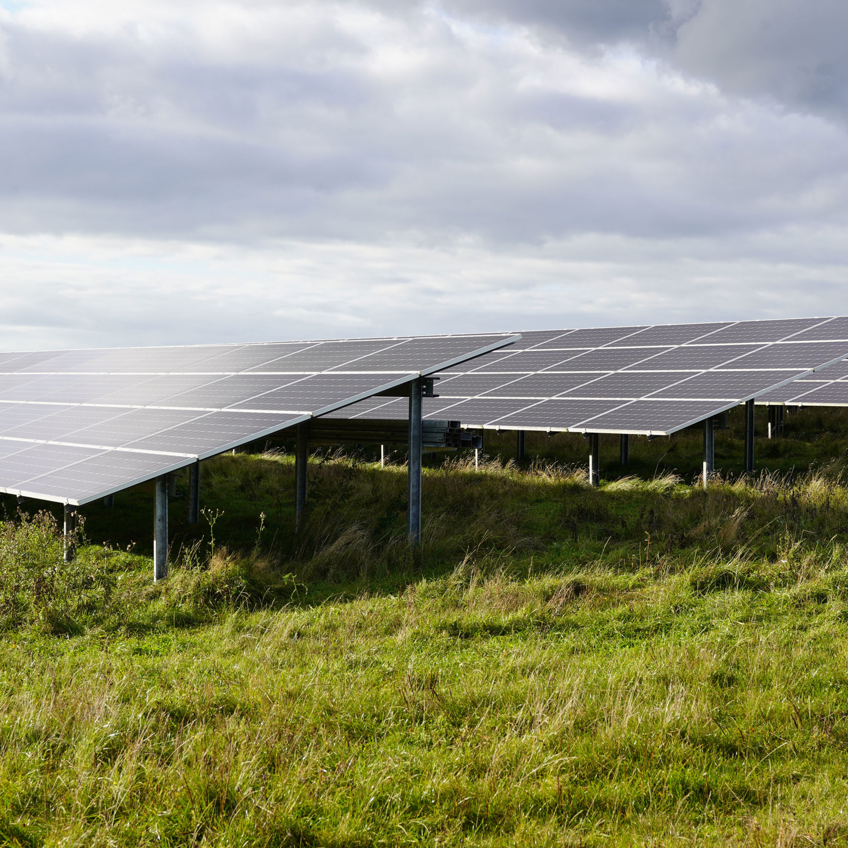 Eksempel på solcellepaneler på faste stativer