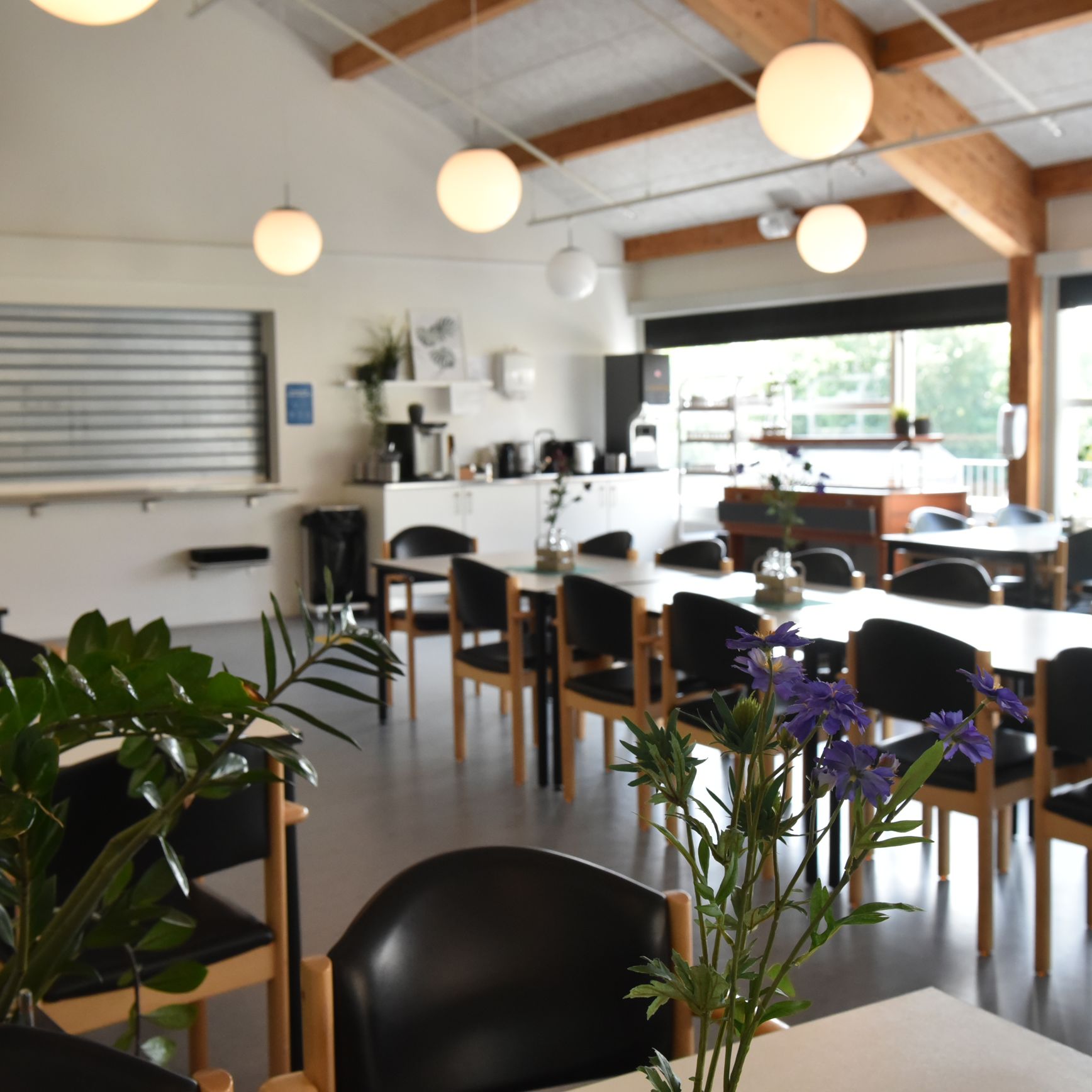 Caféen på Borupvænget