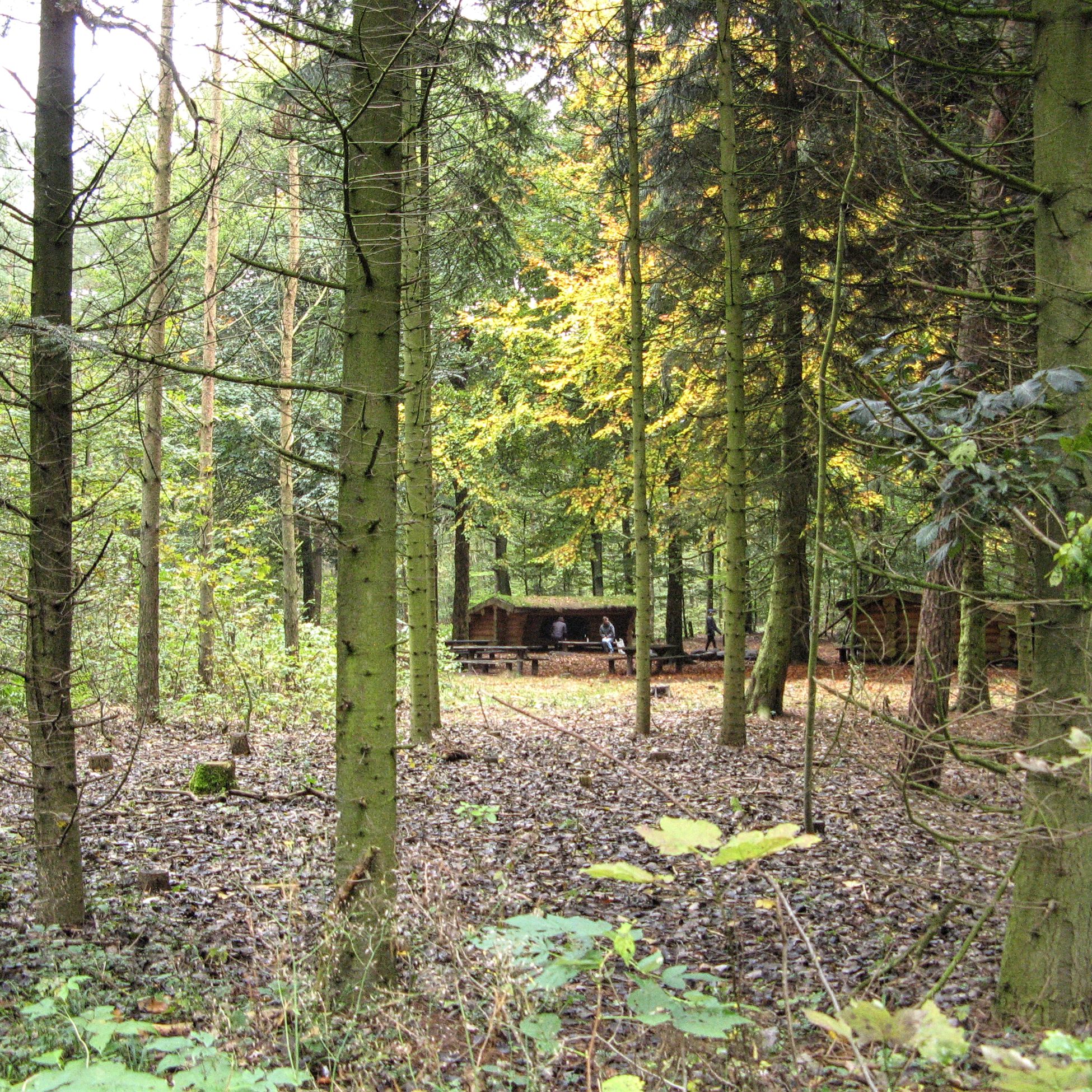 Shelters i Fladbro Skov