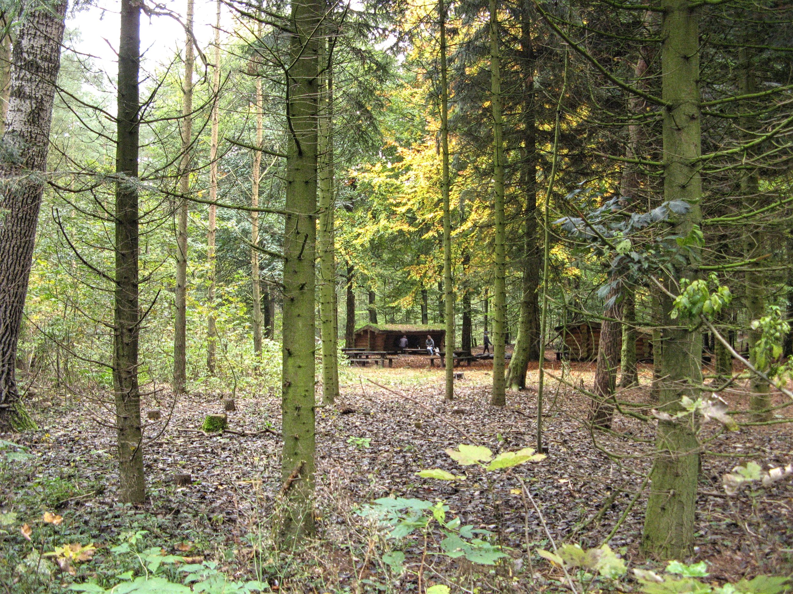 Shelters i Fladbro Skov